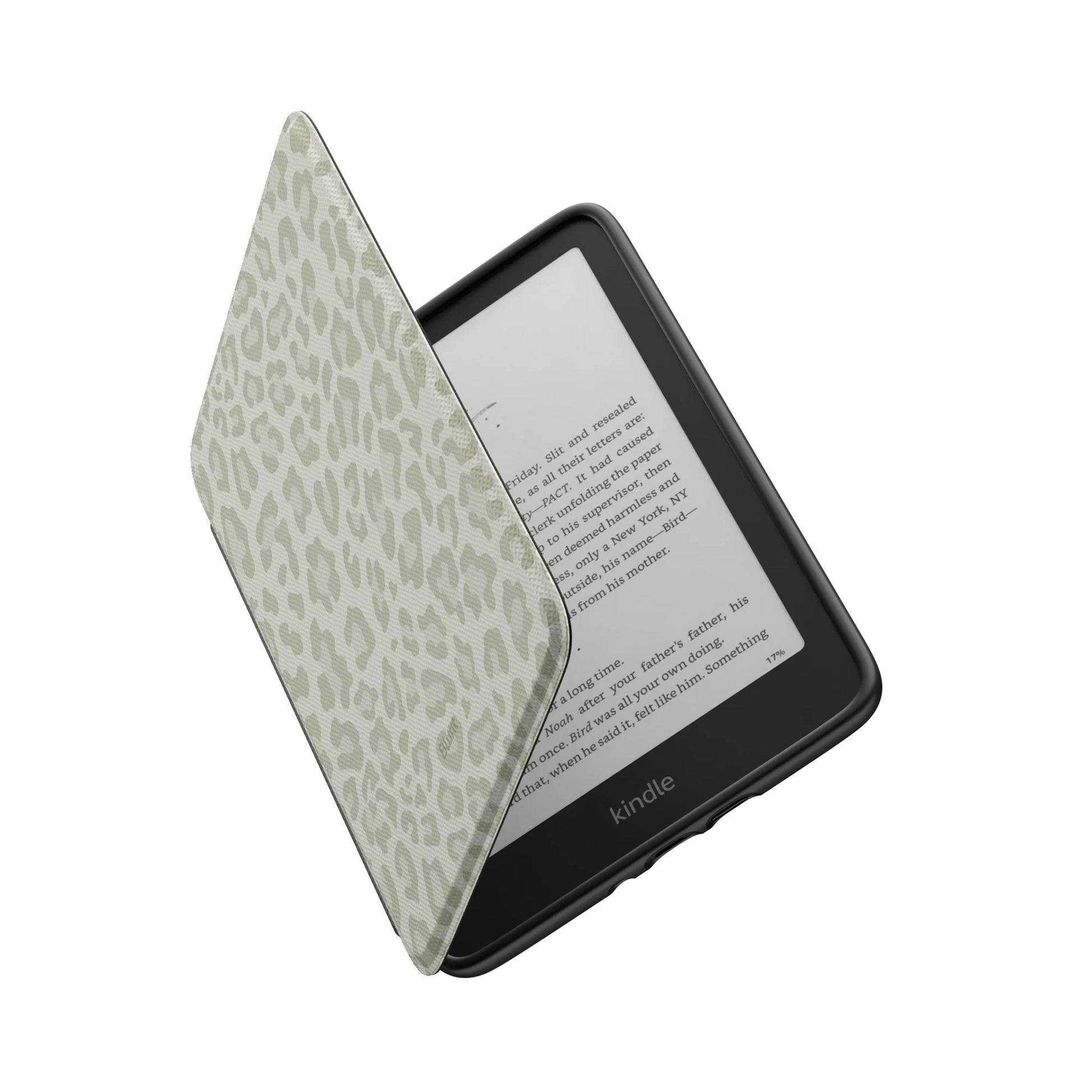 Kindle_Standard_6