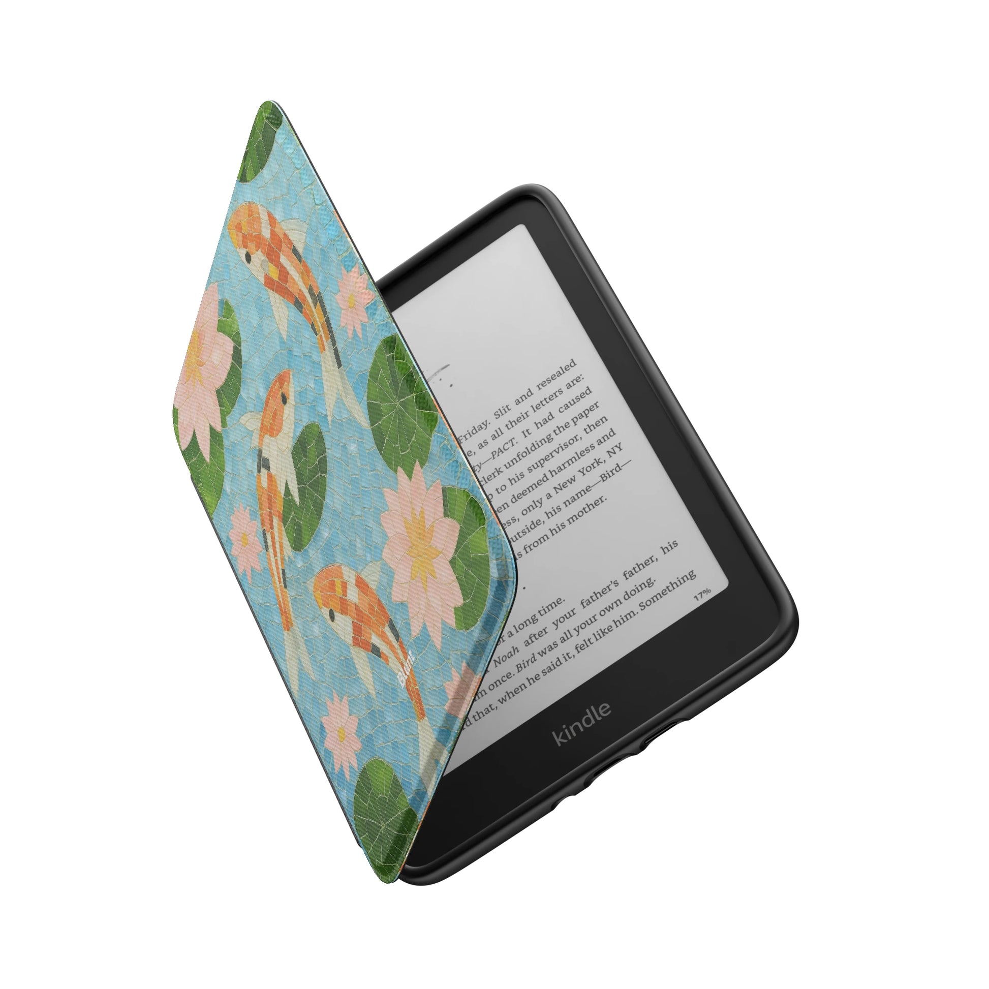 Kindle_Standard_6