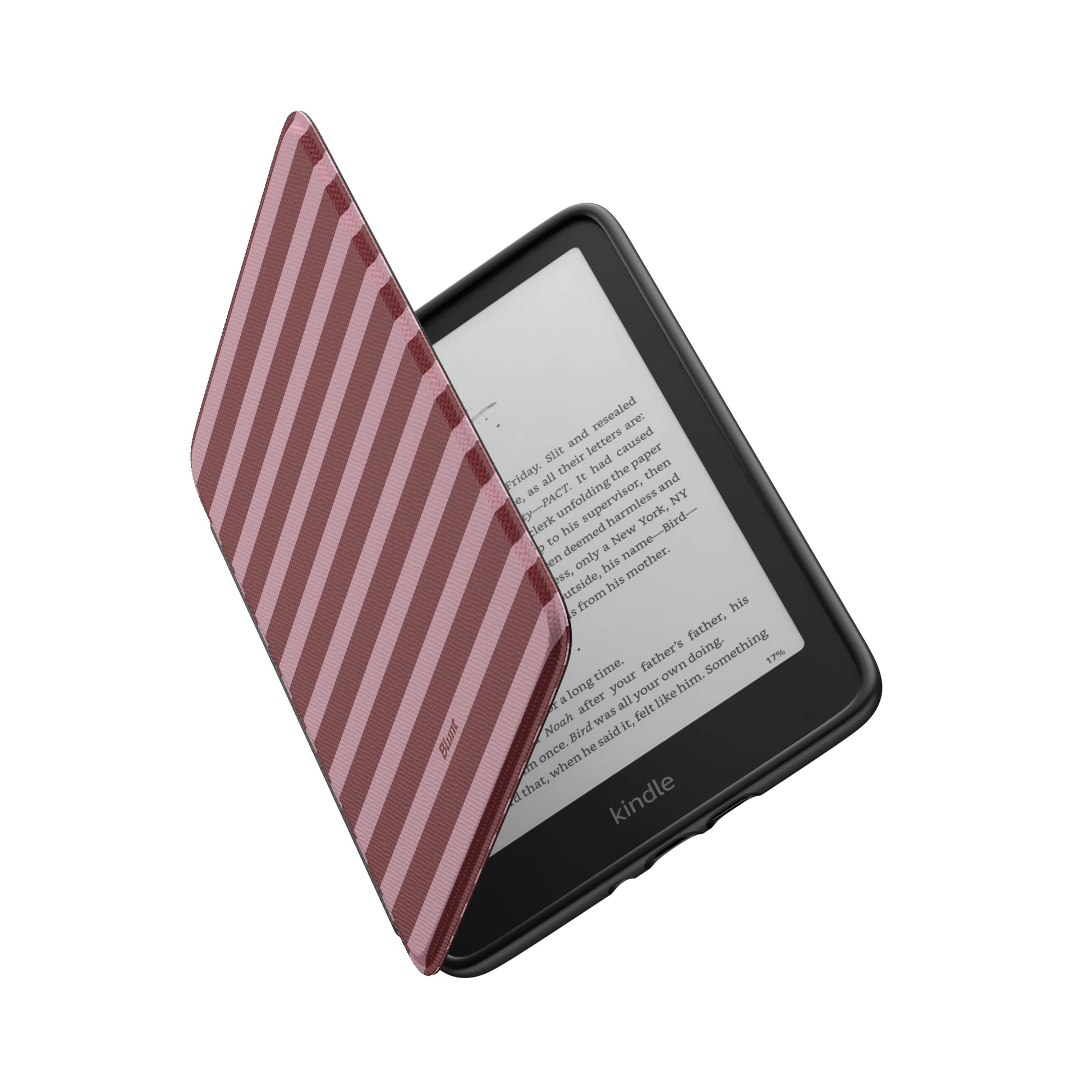 Kindle_Standard_6