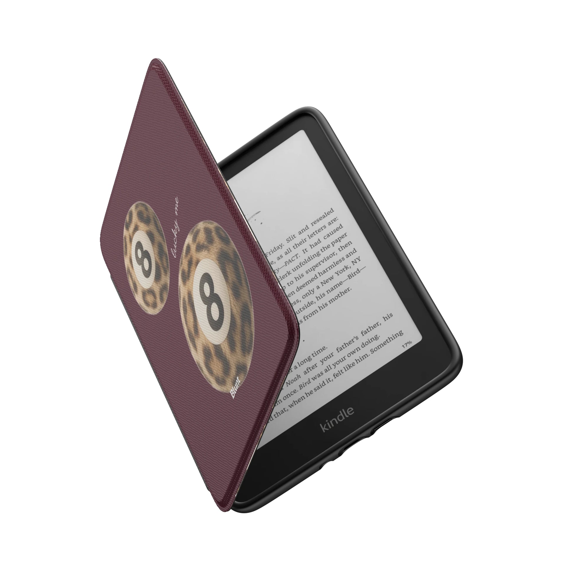 Kindle_Standard_6