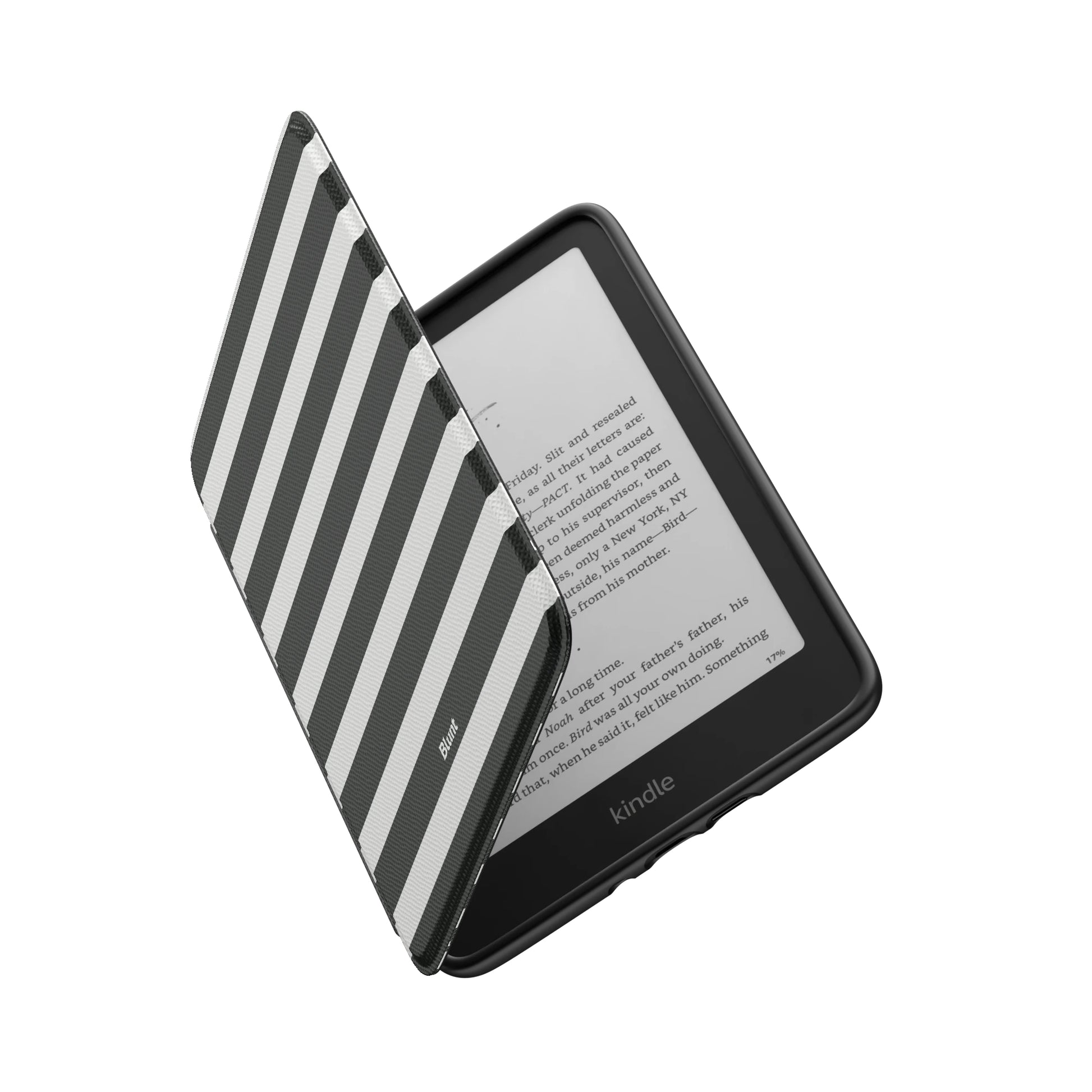 Kindle_Standard_6