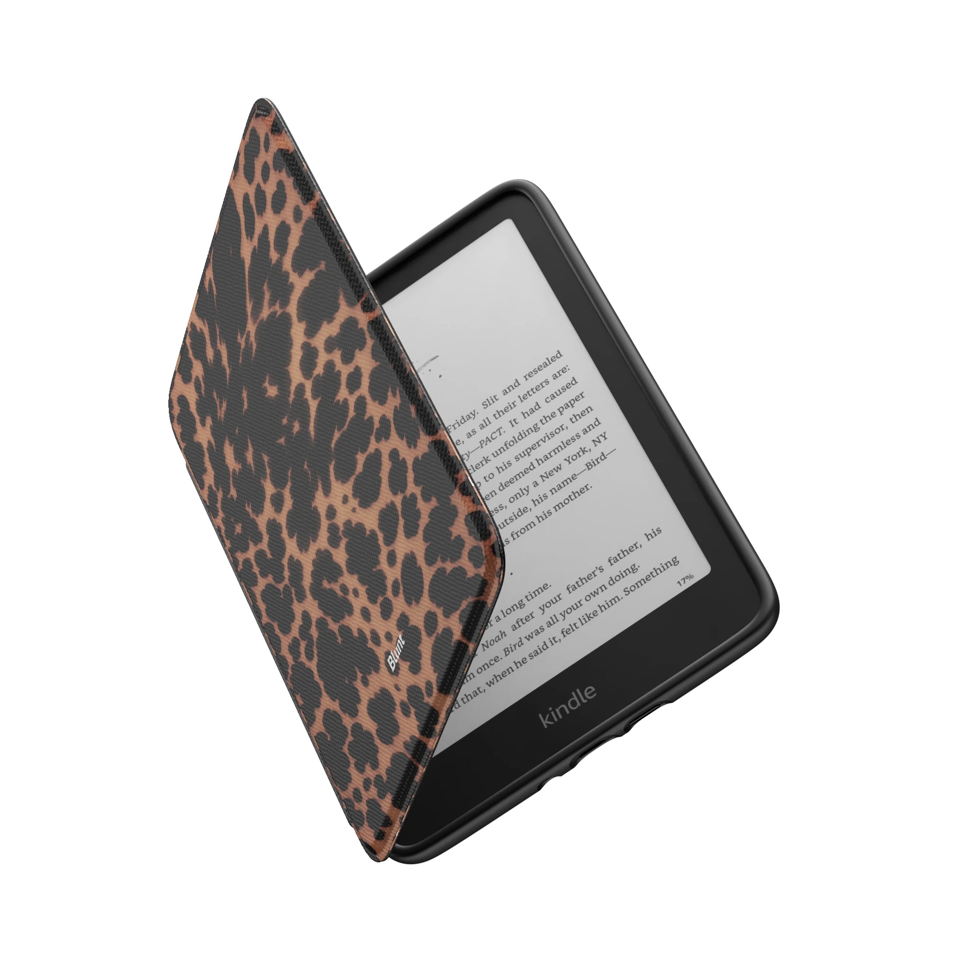 Kindle_Standard_6