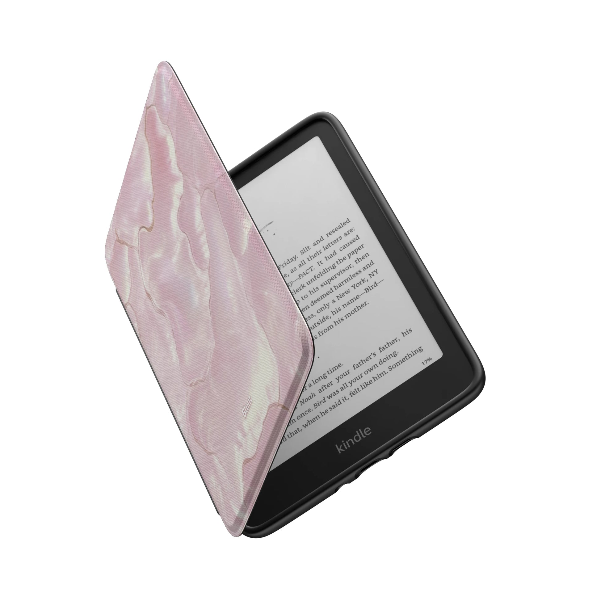 Kindle_Standard_6