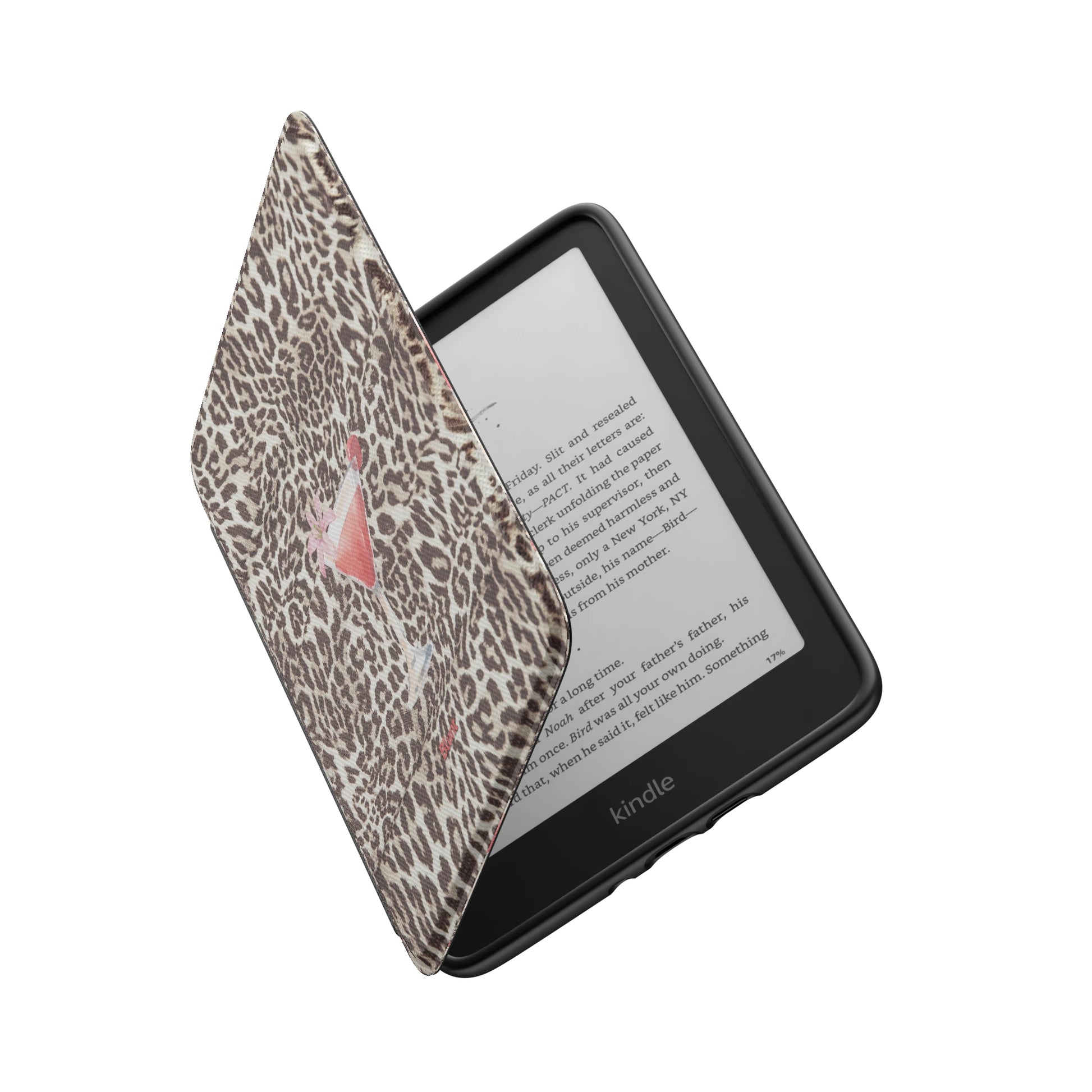 Kindle_Standard_6
