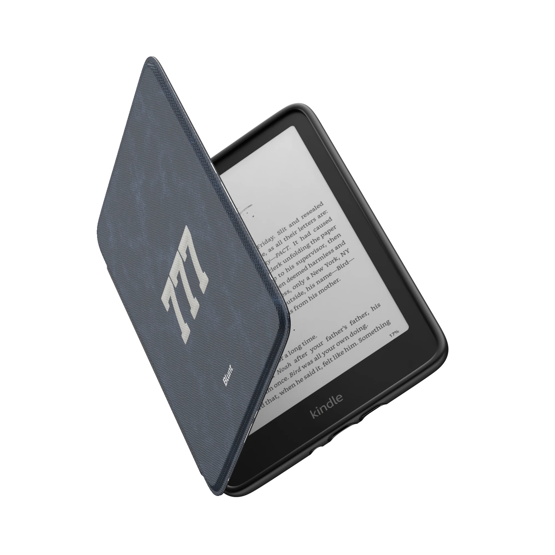 Kindle_Standard_6