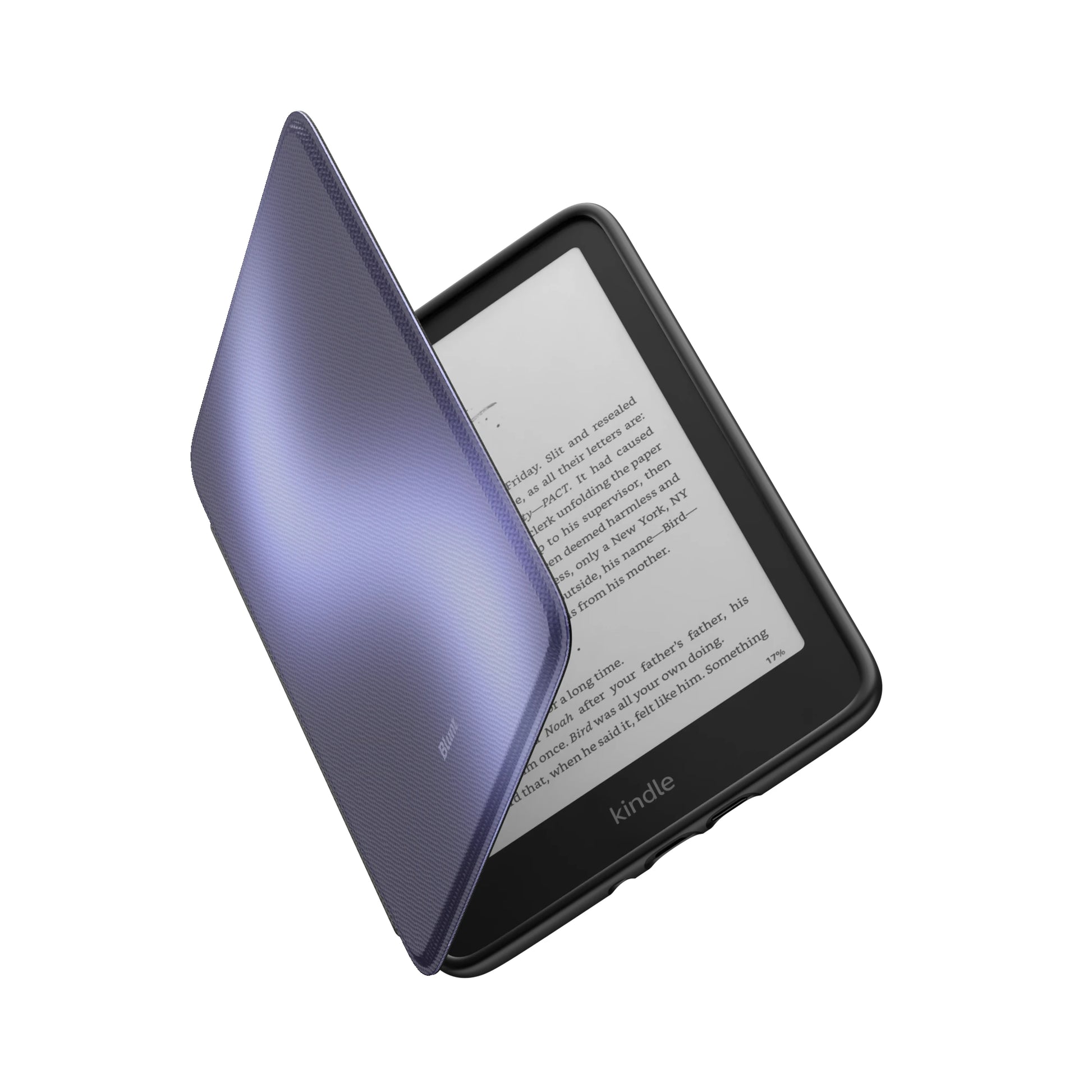 Kindle_Standard_6