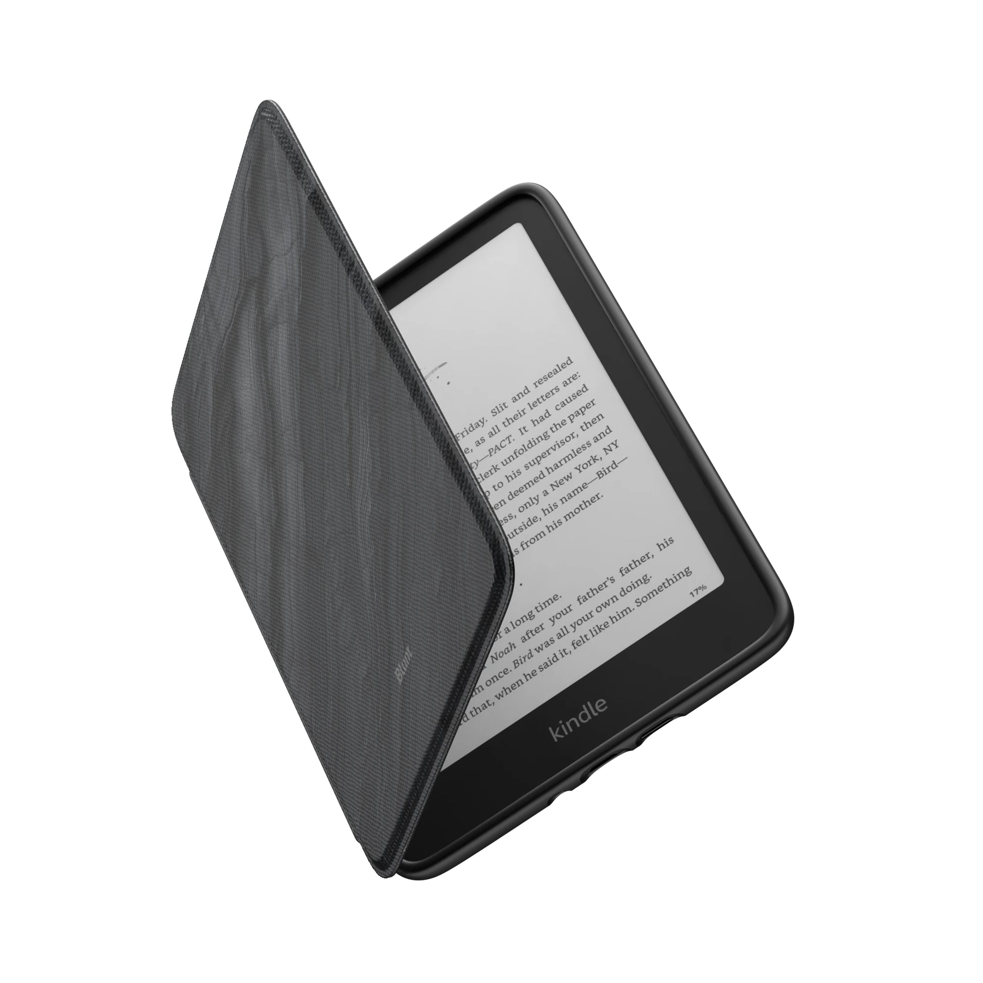 Kindle_Standard_6