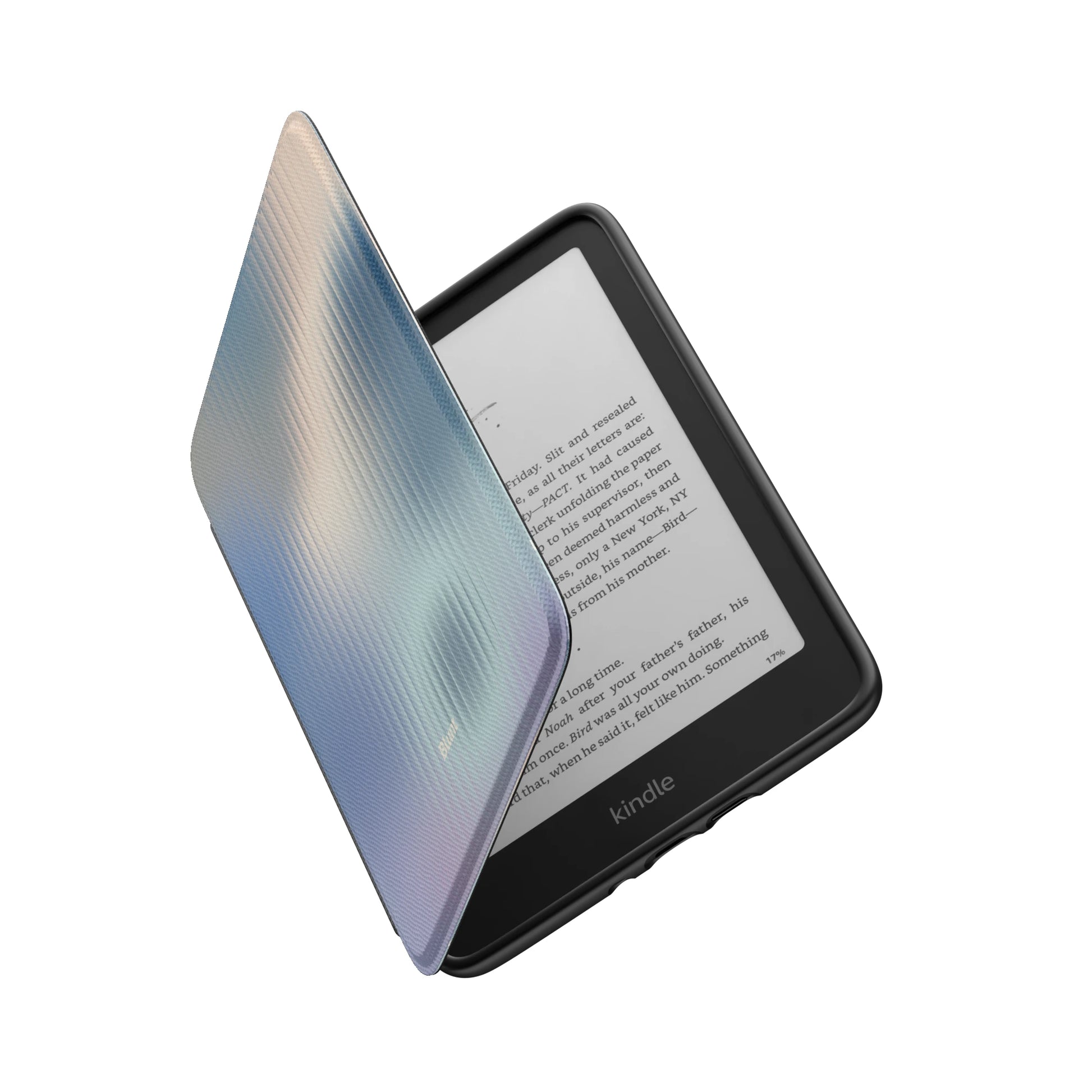 Kindle_Standard_6