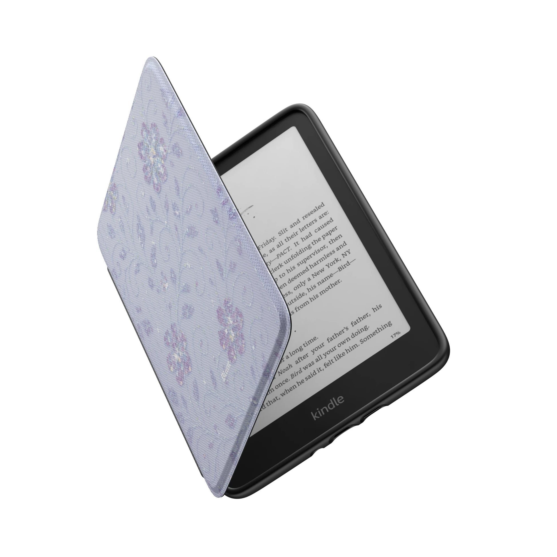 Kindle_Standard_6