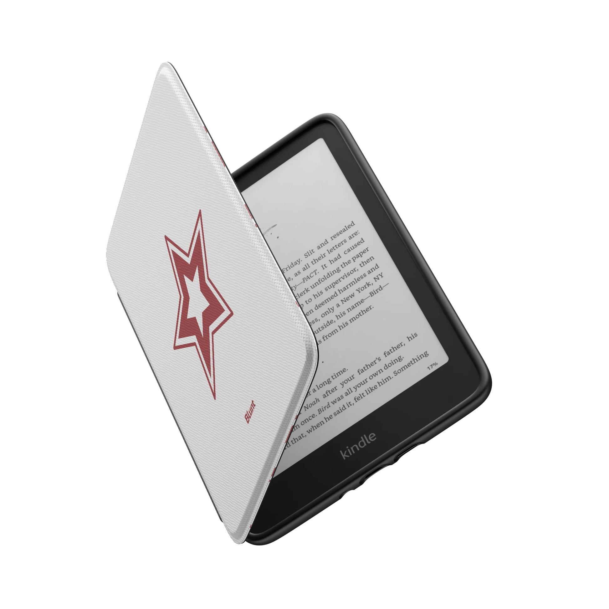 Kindle_Standard_6