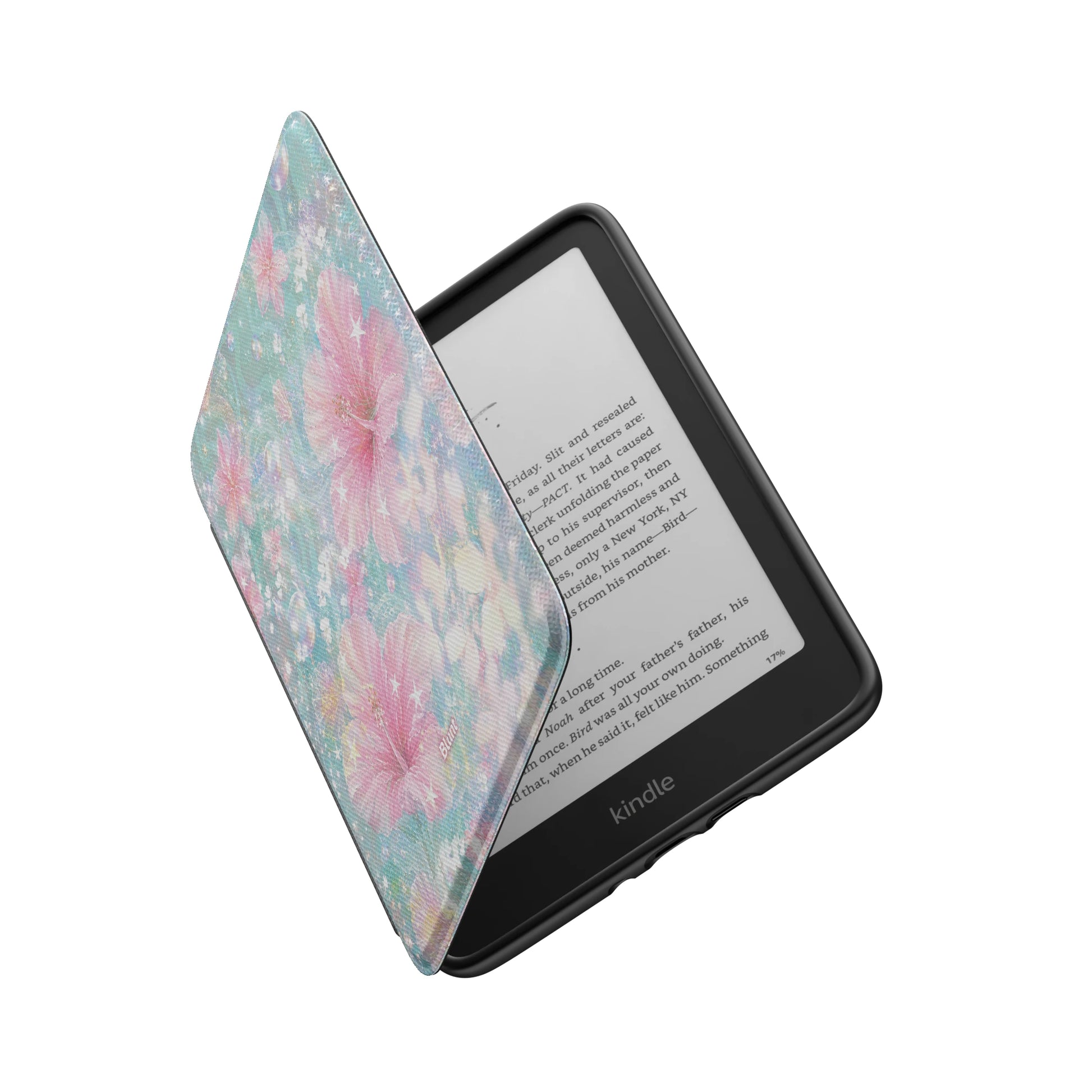 Kindle_Standard_6