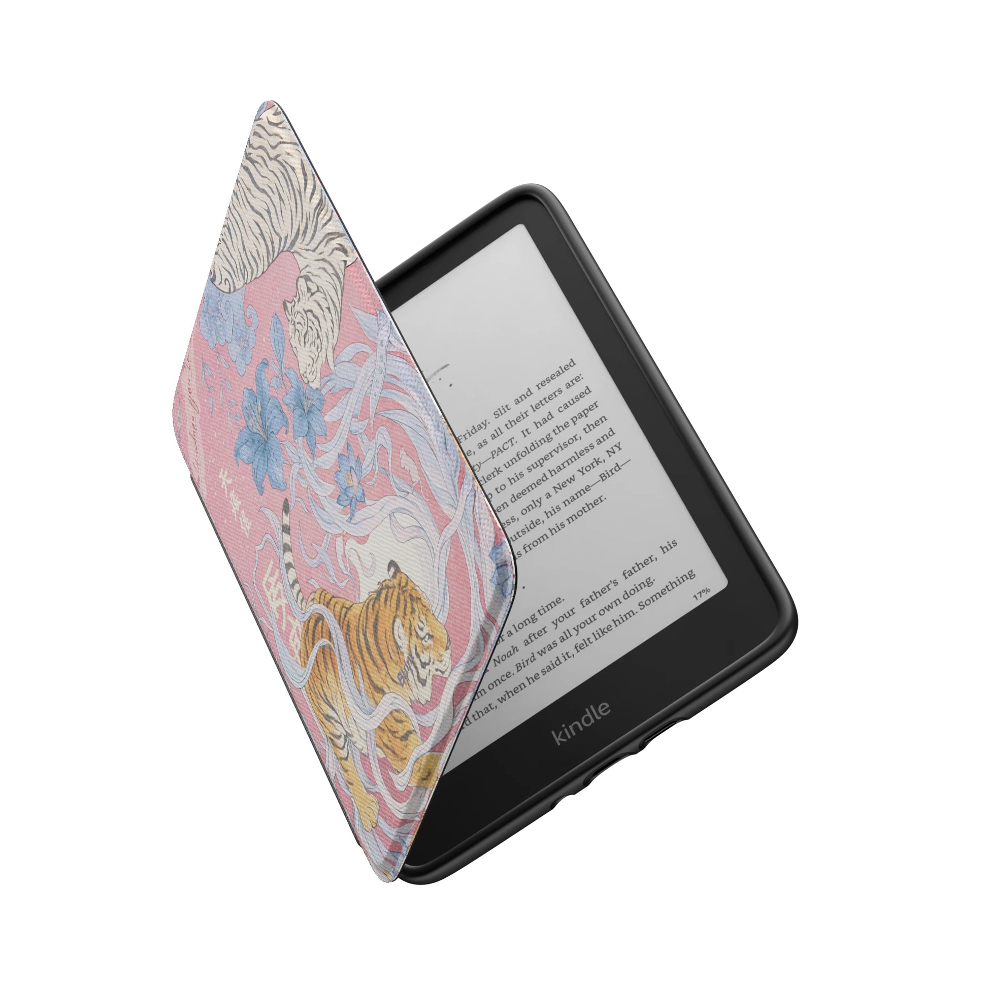 Kindle_Standard_6