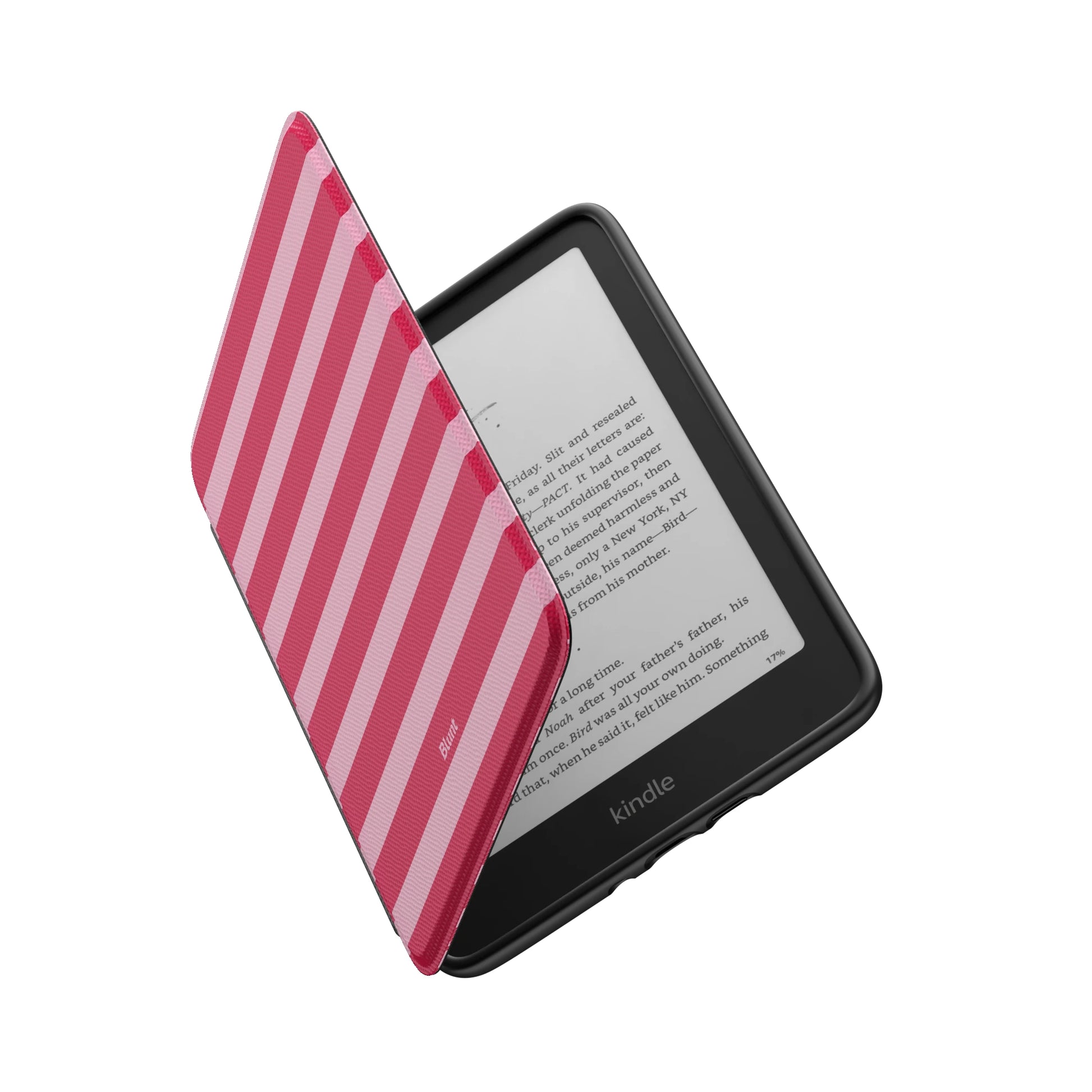 Kindle_Standard_6