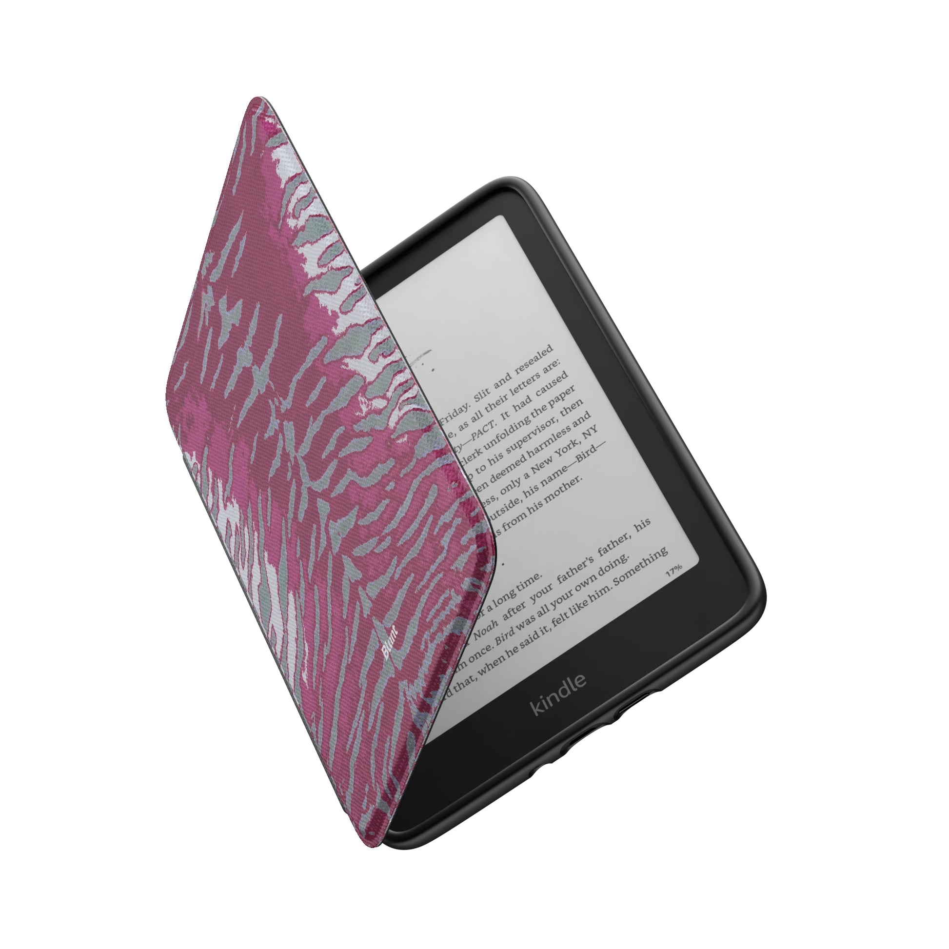 Kindle_Standard_6