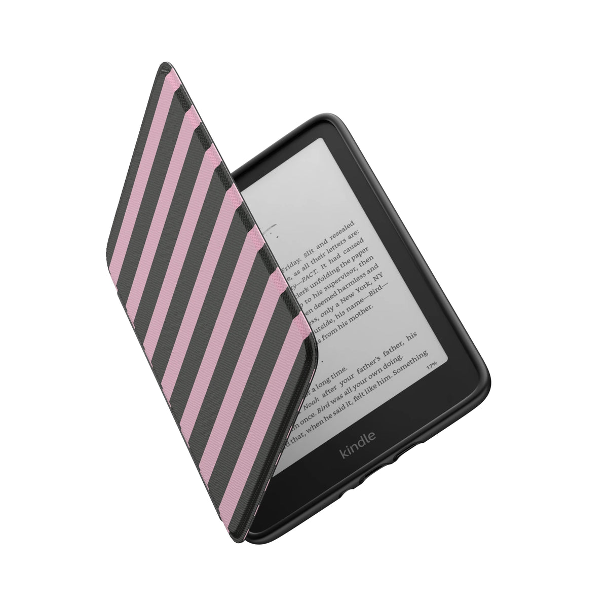 Kindle_Standard_6