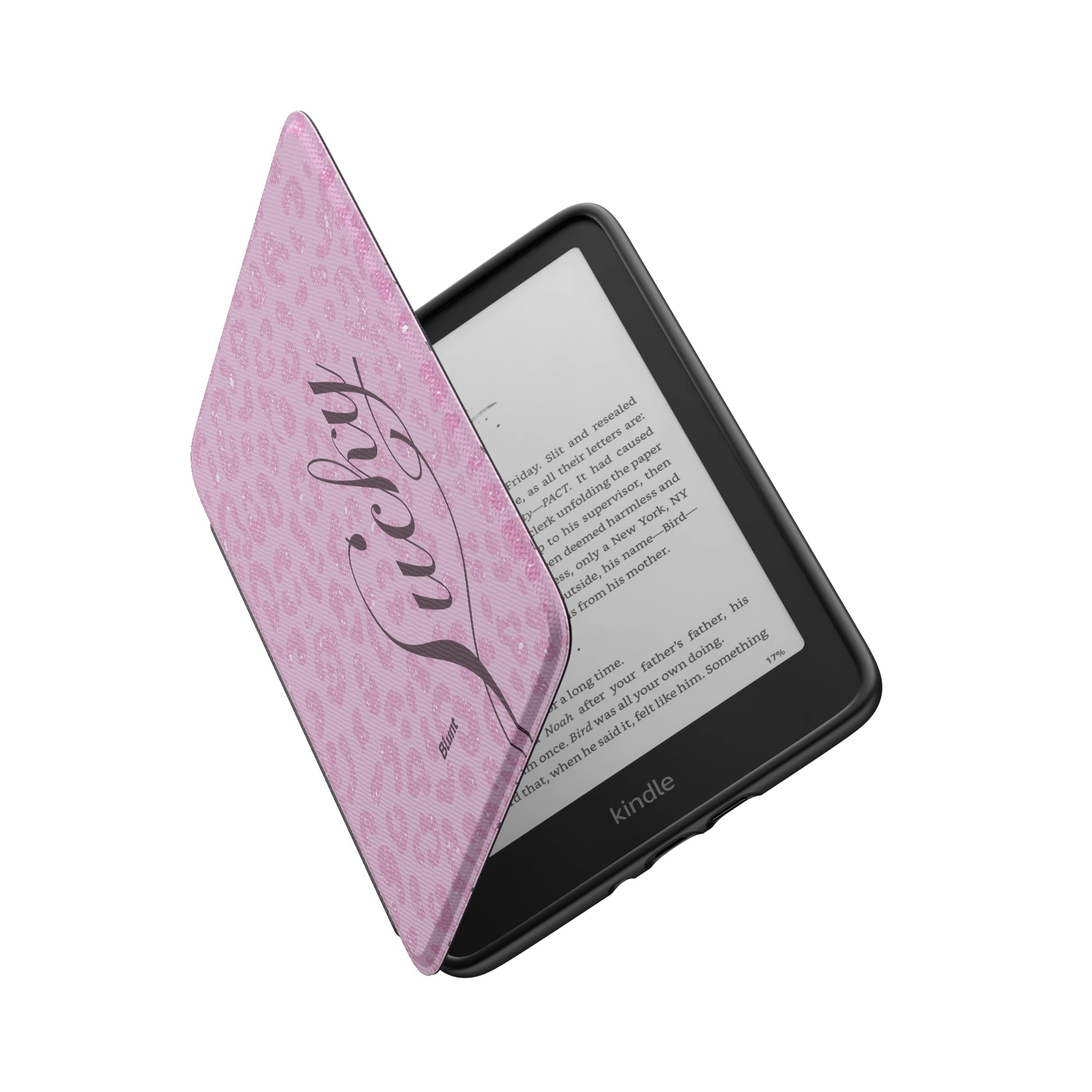 Kindle_Standard_6