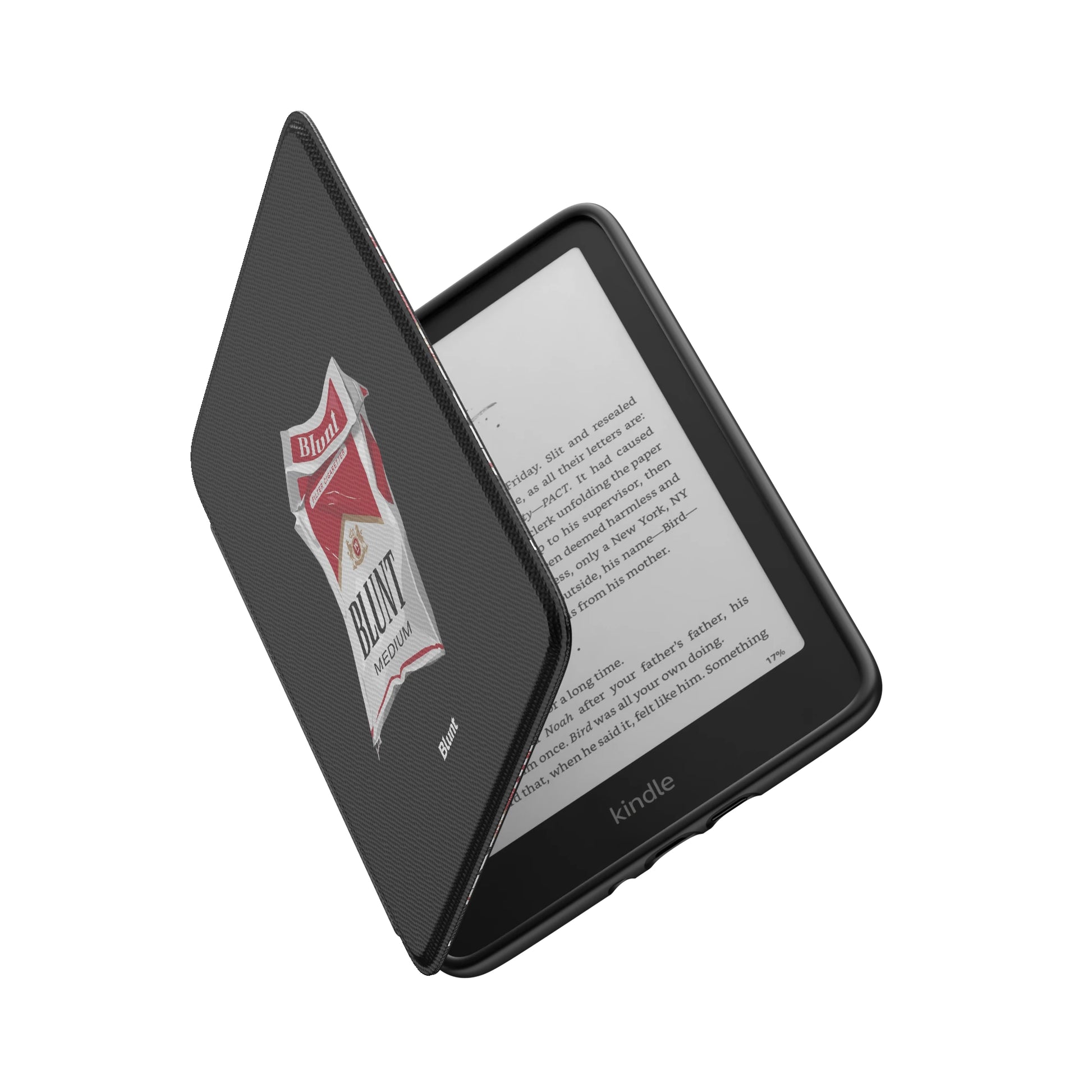 Kindle_Standard_6