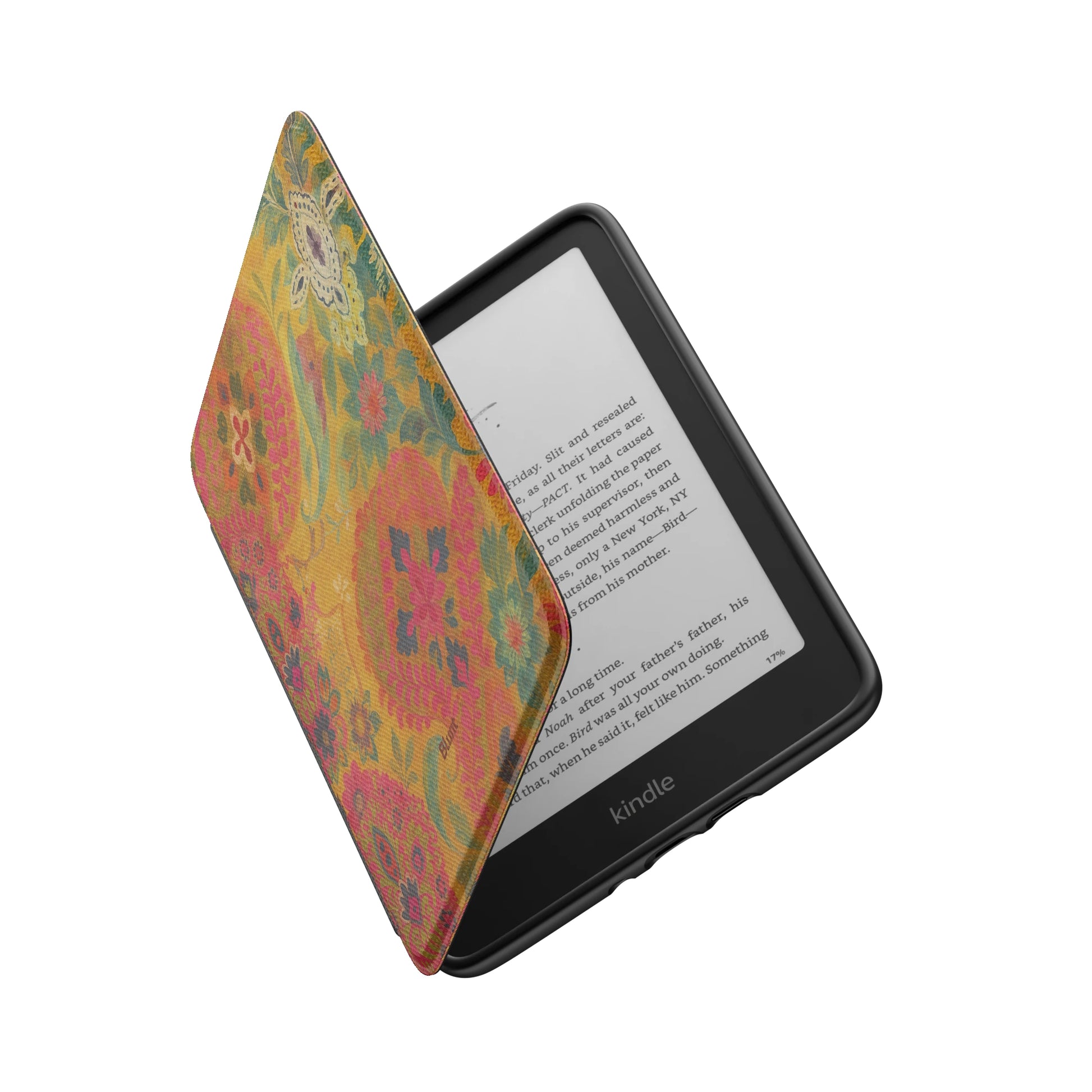 Kindle_Standard_6
