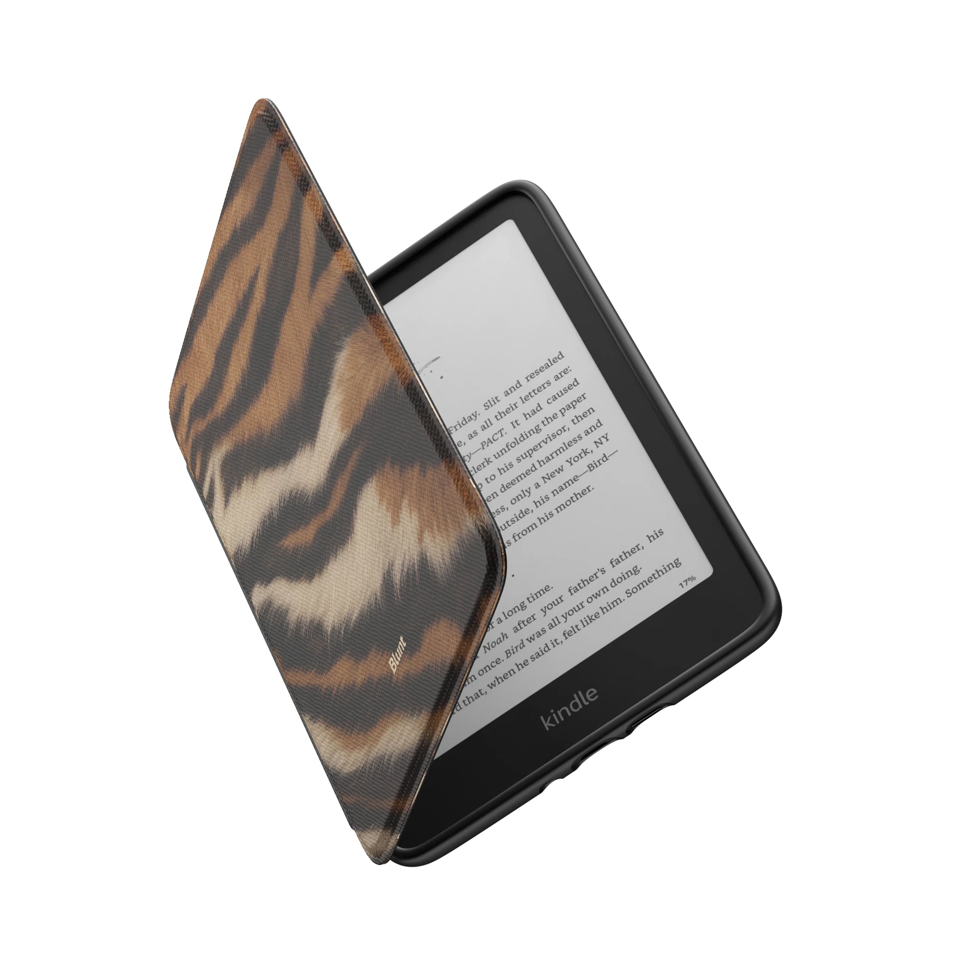 Kindle_Standard_6
