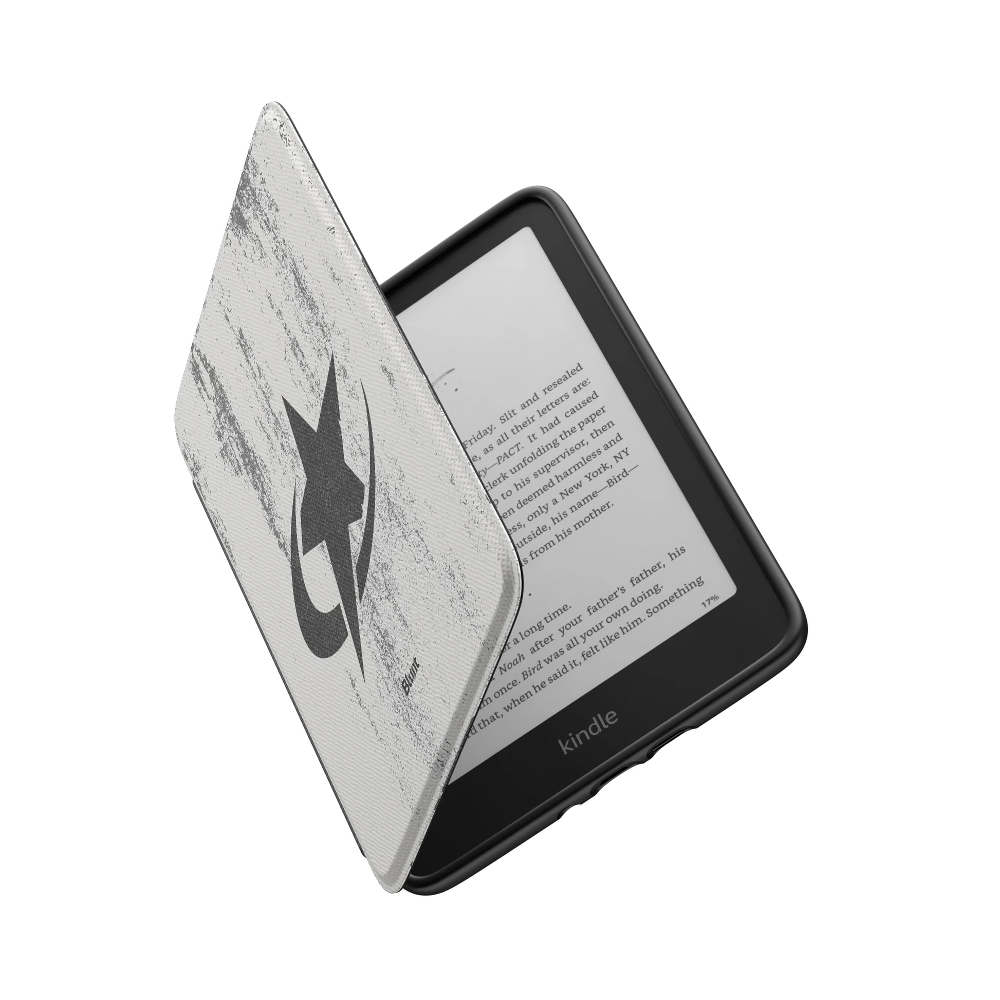 Kindle_Standard_6
