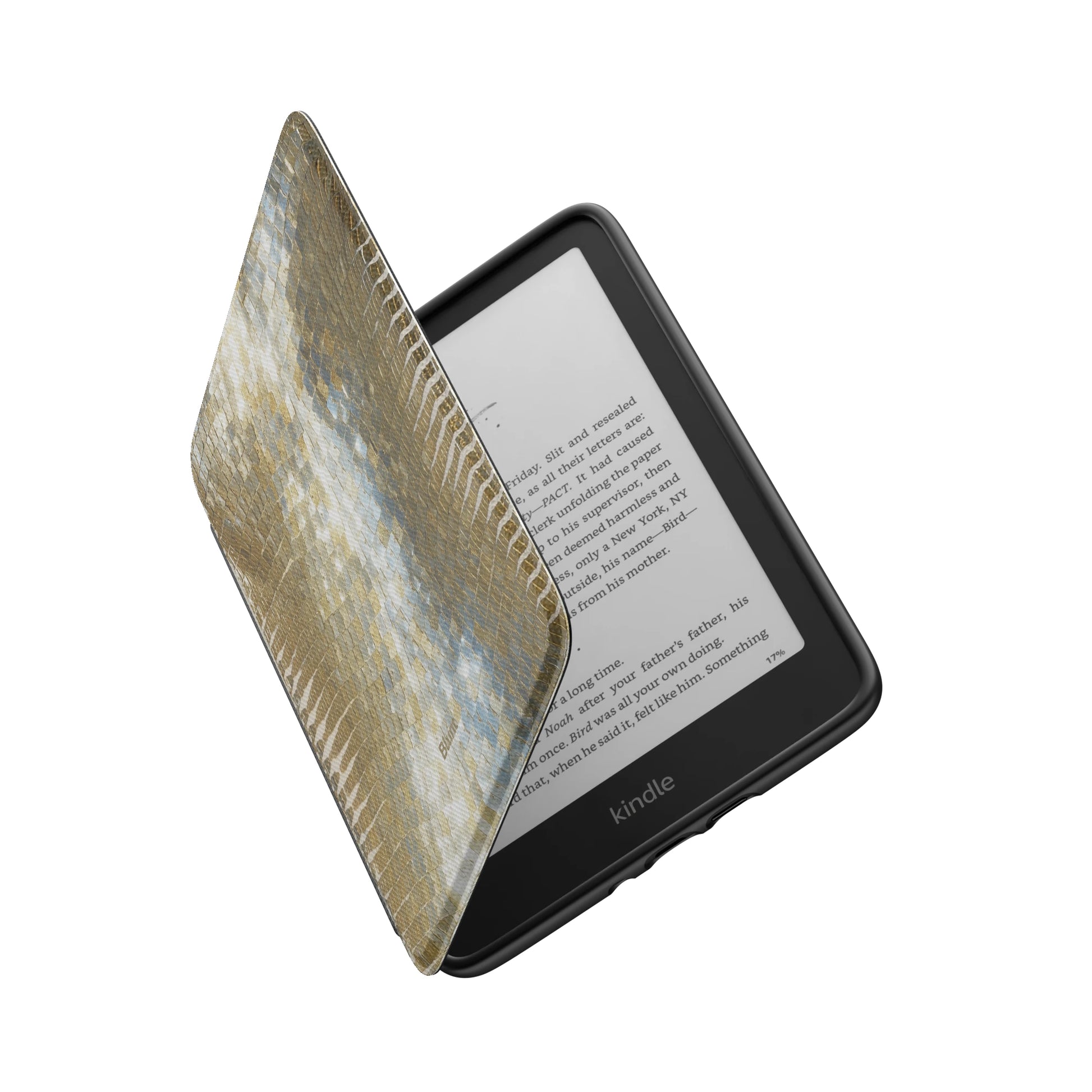 Kindle_Standard_6