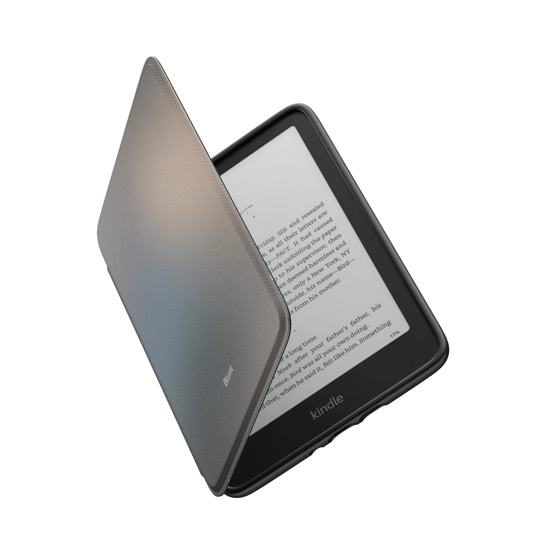 Kindle_Standard_6