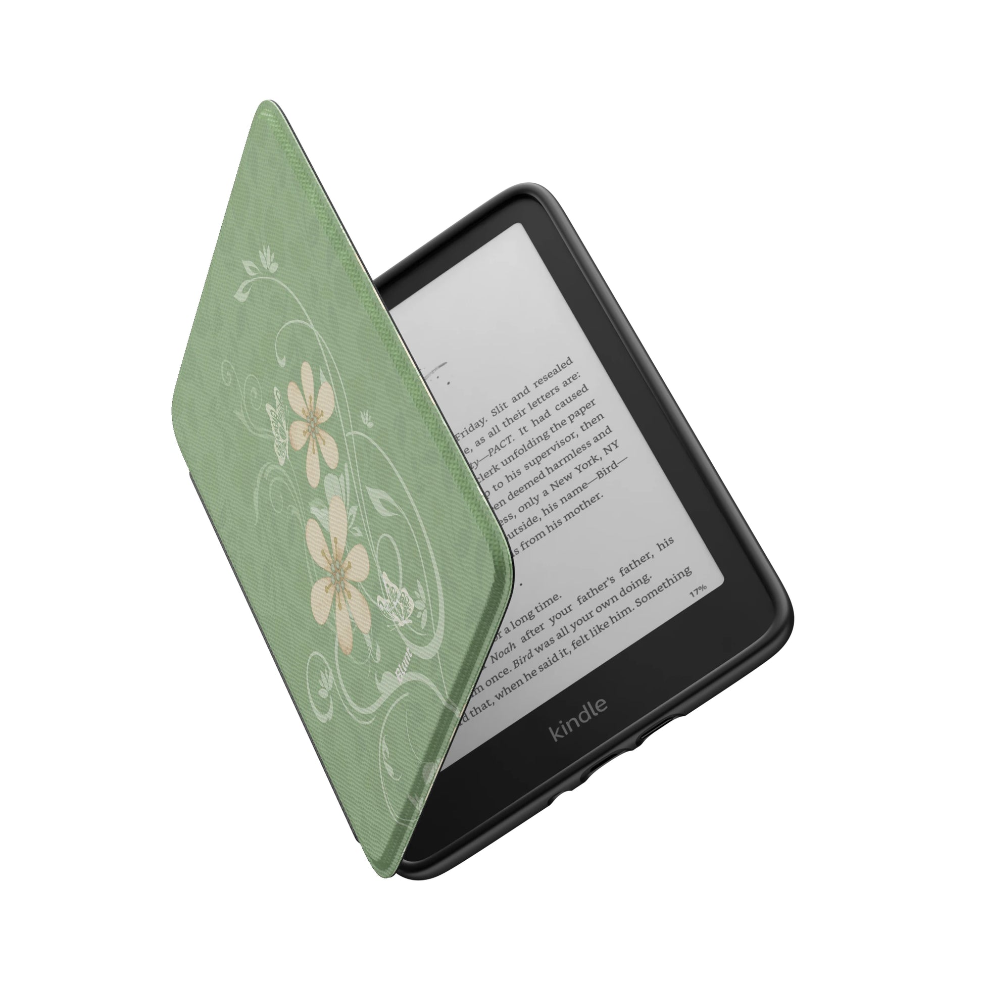 Kindle_Standard_6