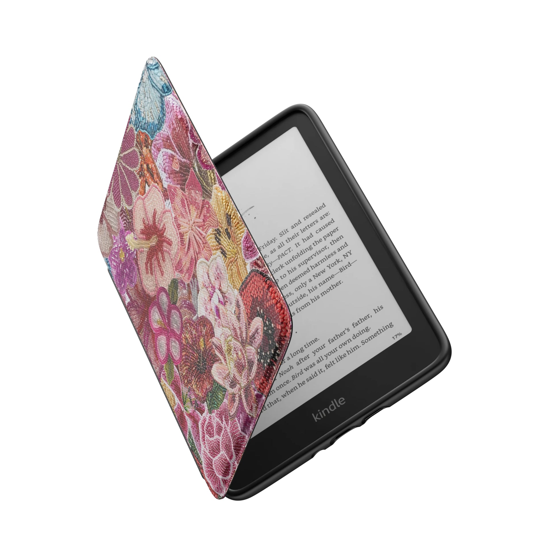 Kindle_Standard_6