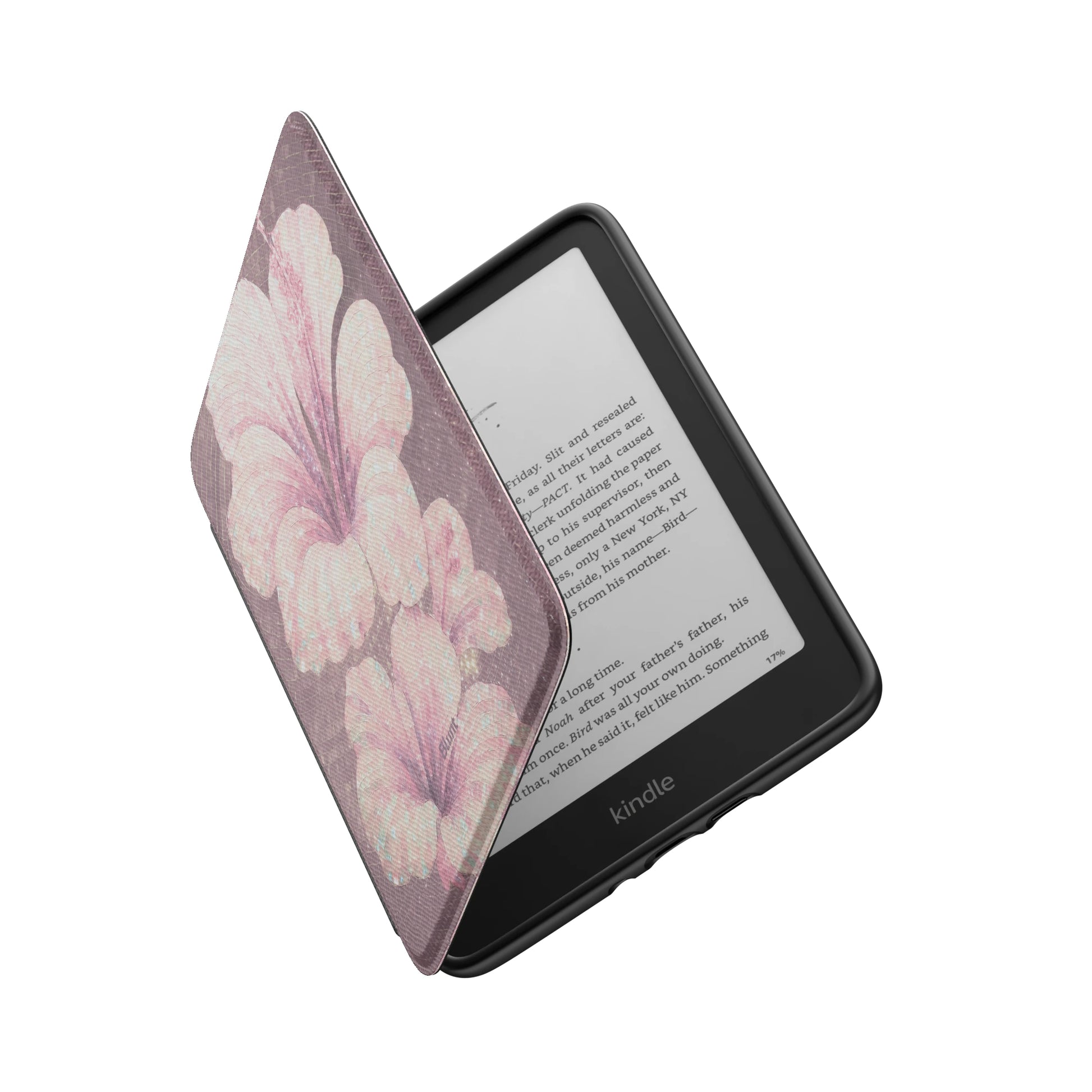 Kindle_Standard_6