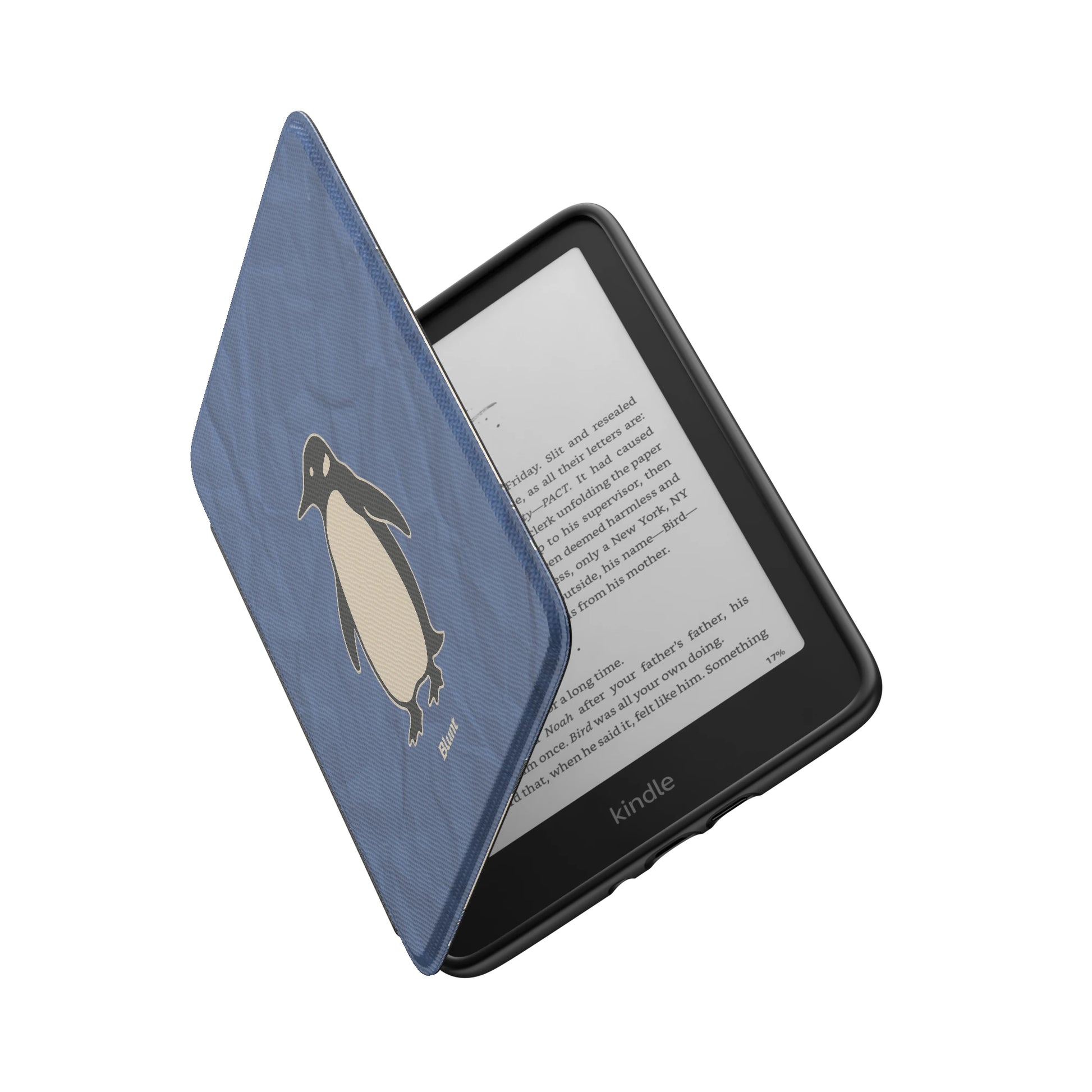 Kindle_Standard_6