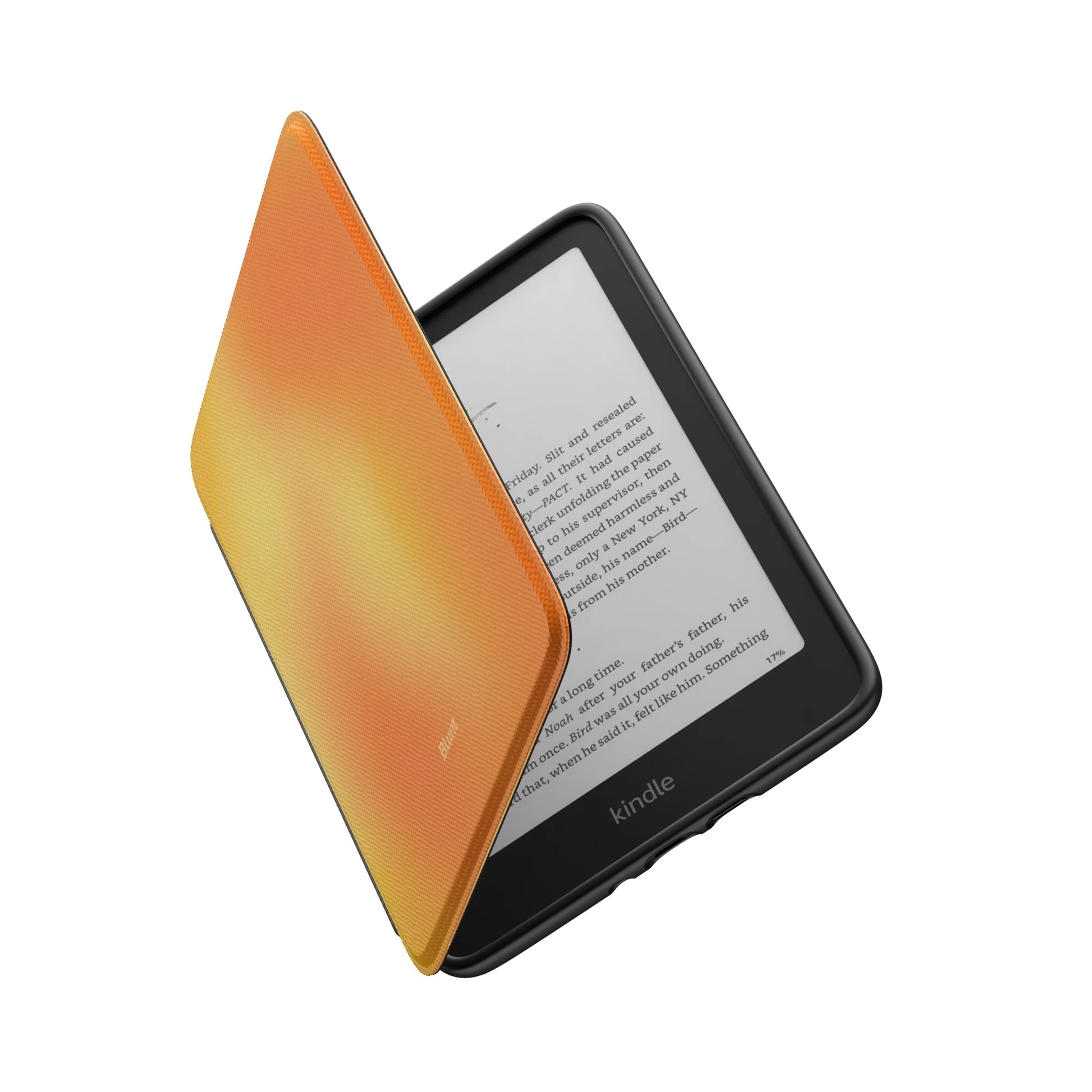 Kindle_Standard_6