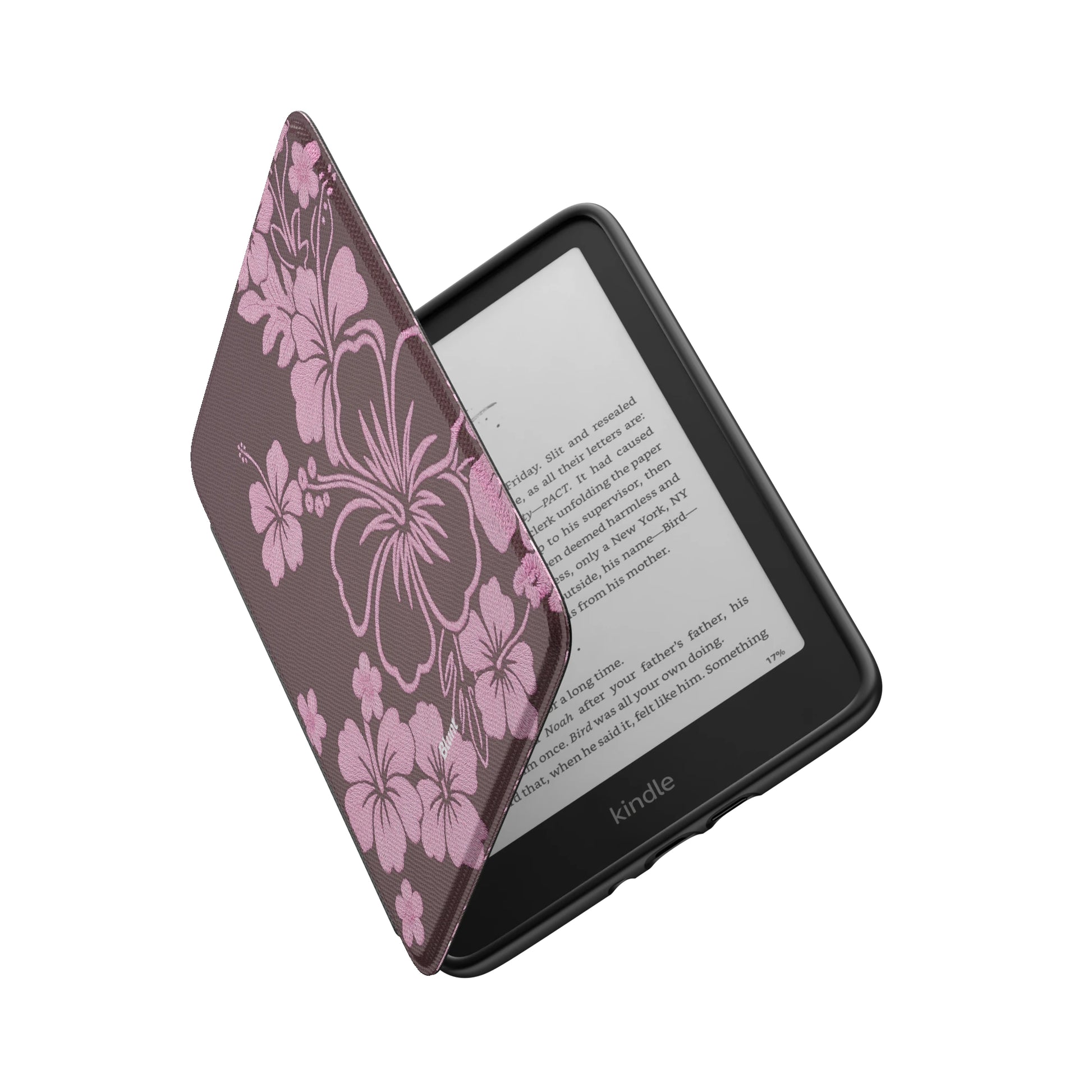 Kindle_Standard_6
