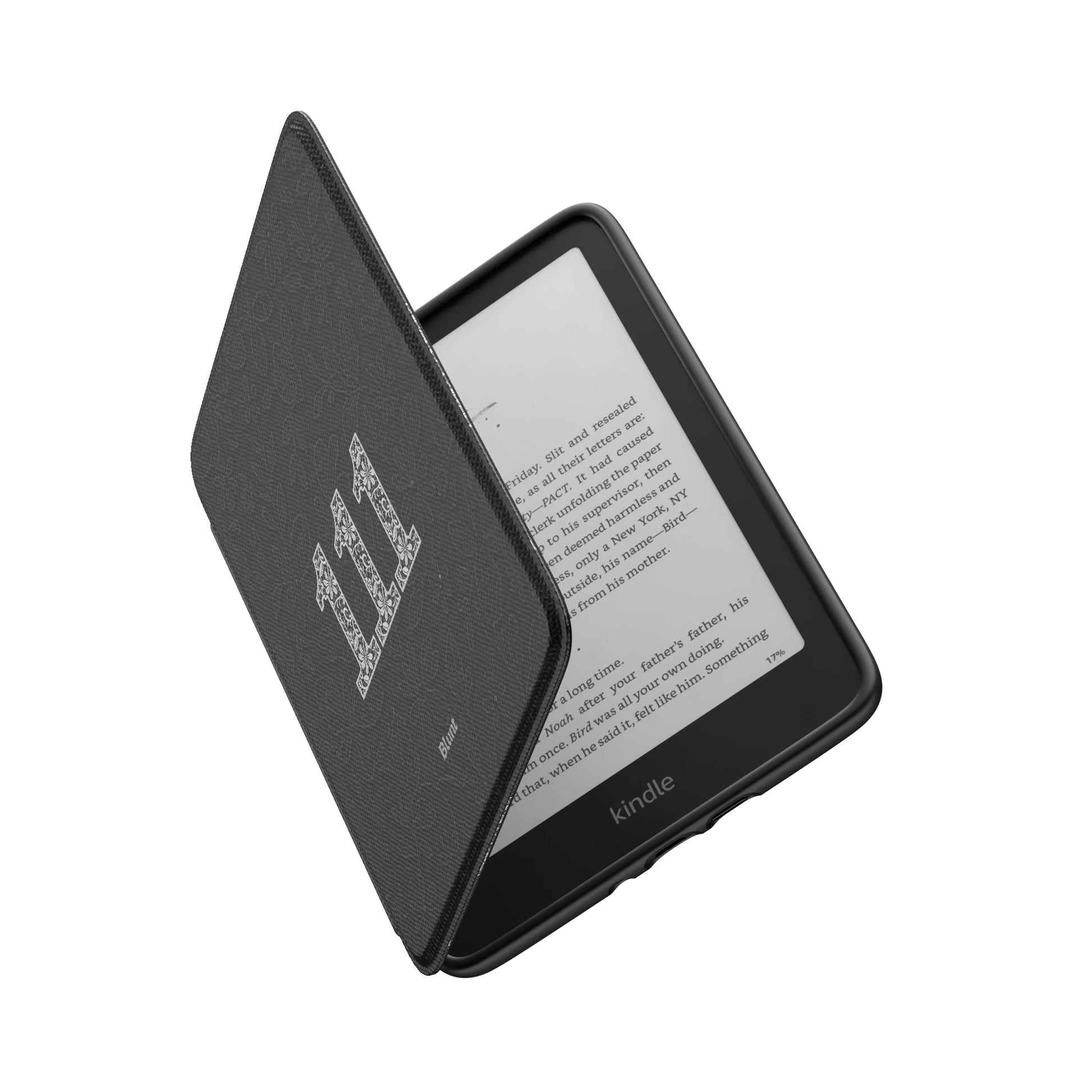 Kindle_Standard_6