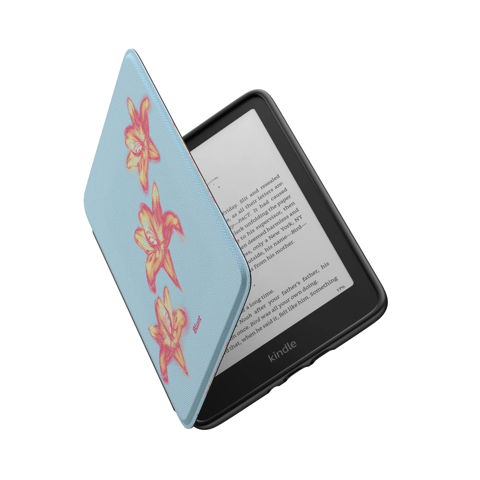Kindle_Standard_6