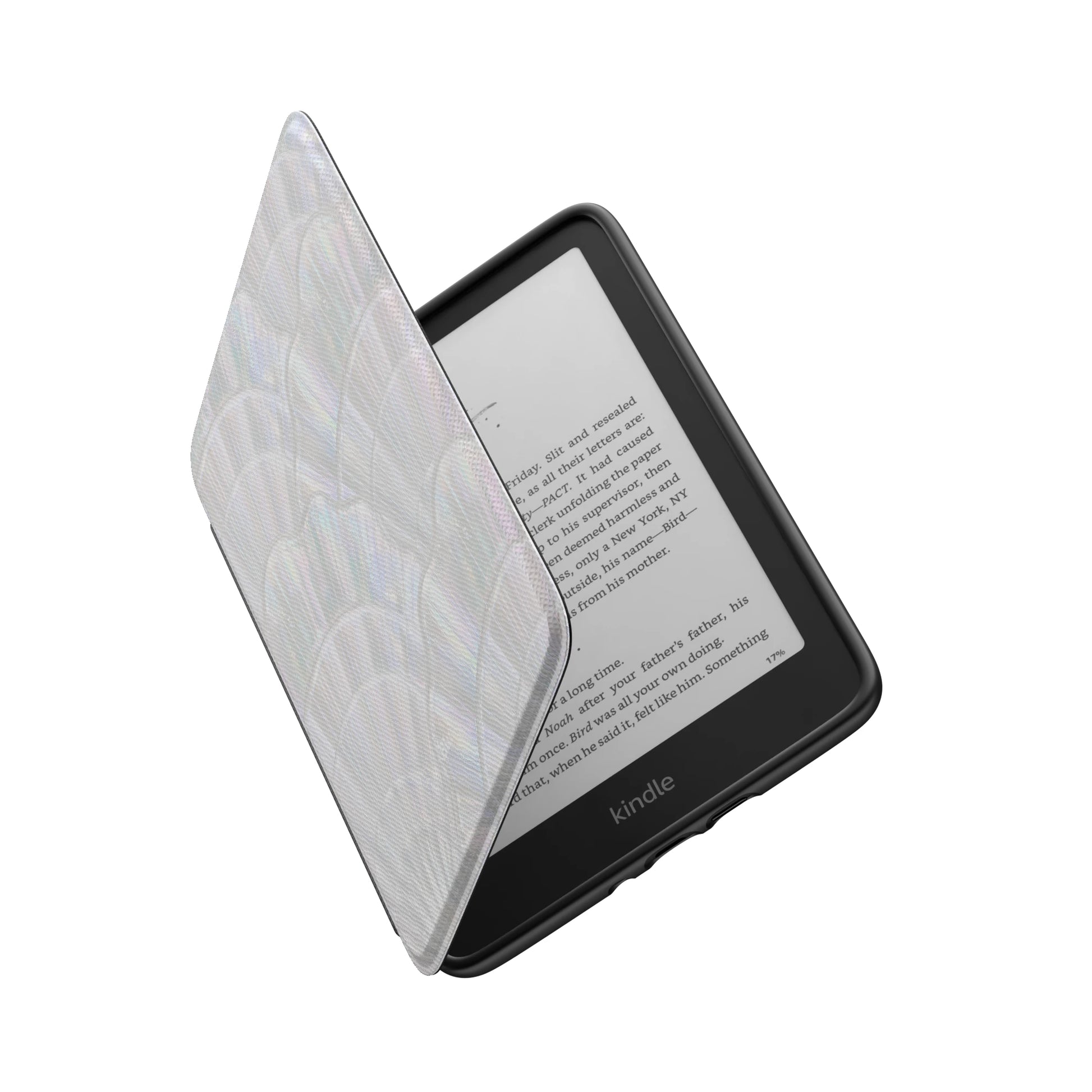 Kindle_Standard_6