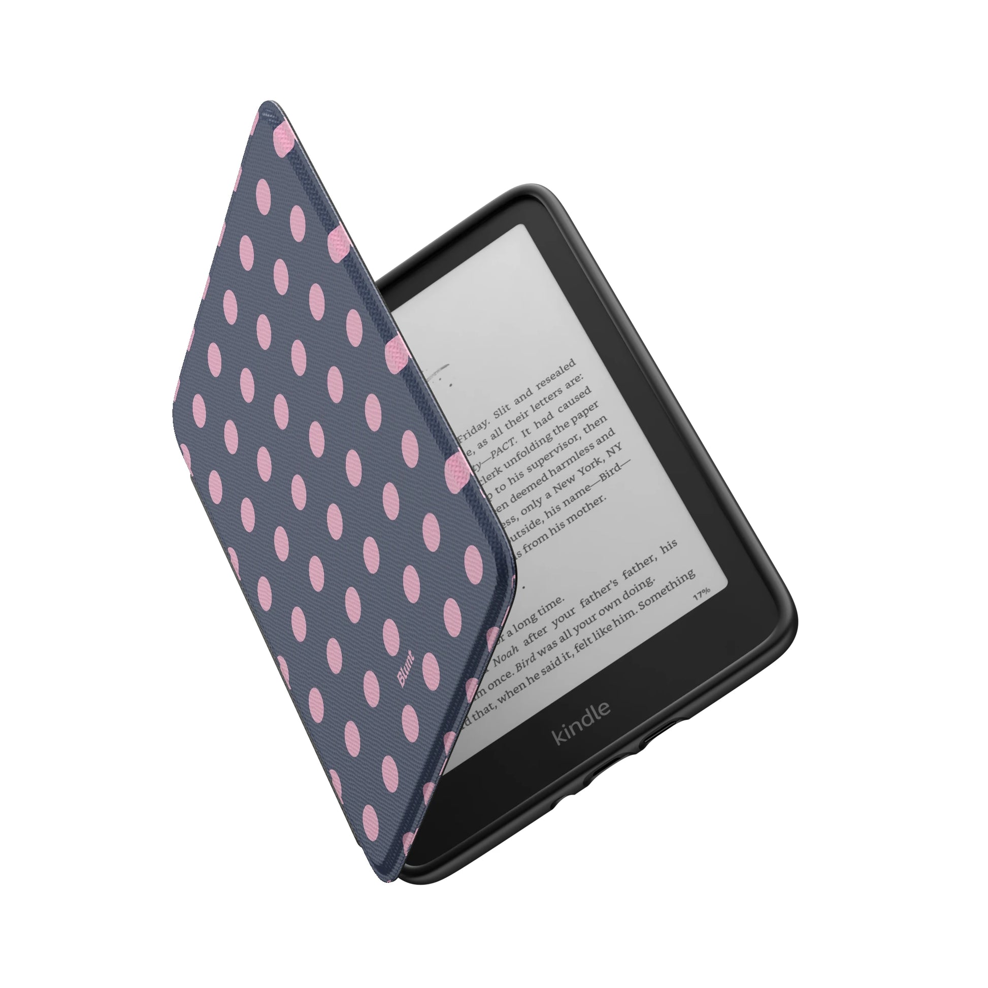 Kindle_Standard_6