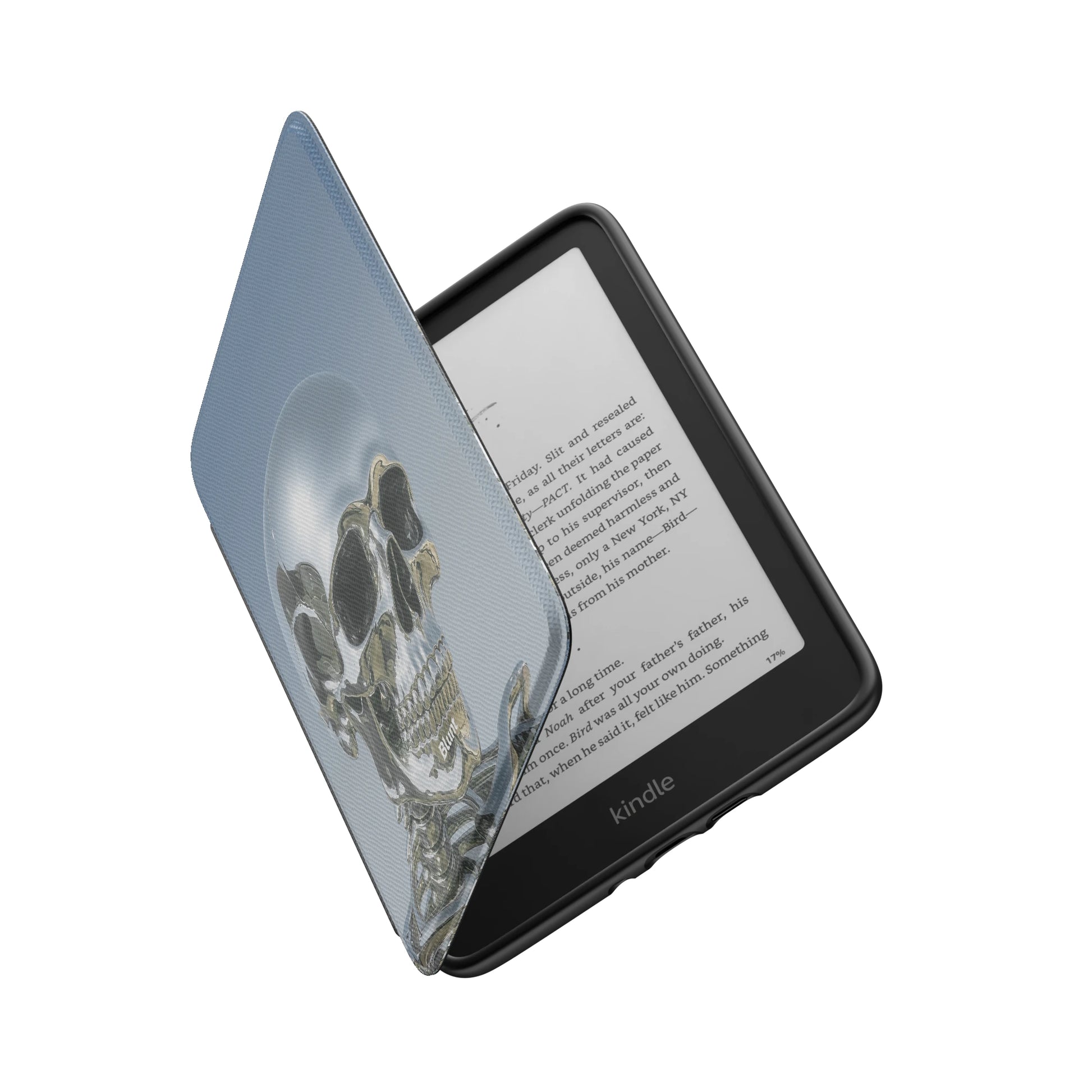 Kindle_Standard_6