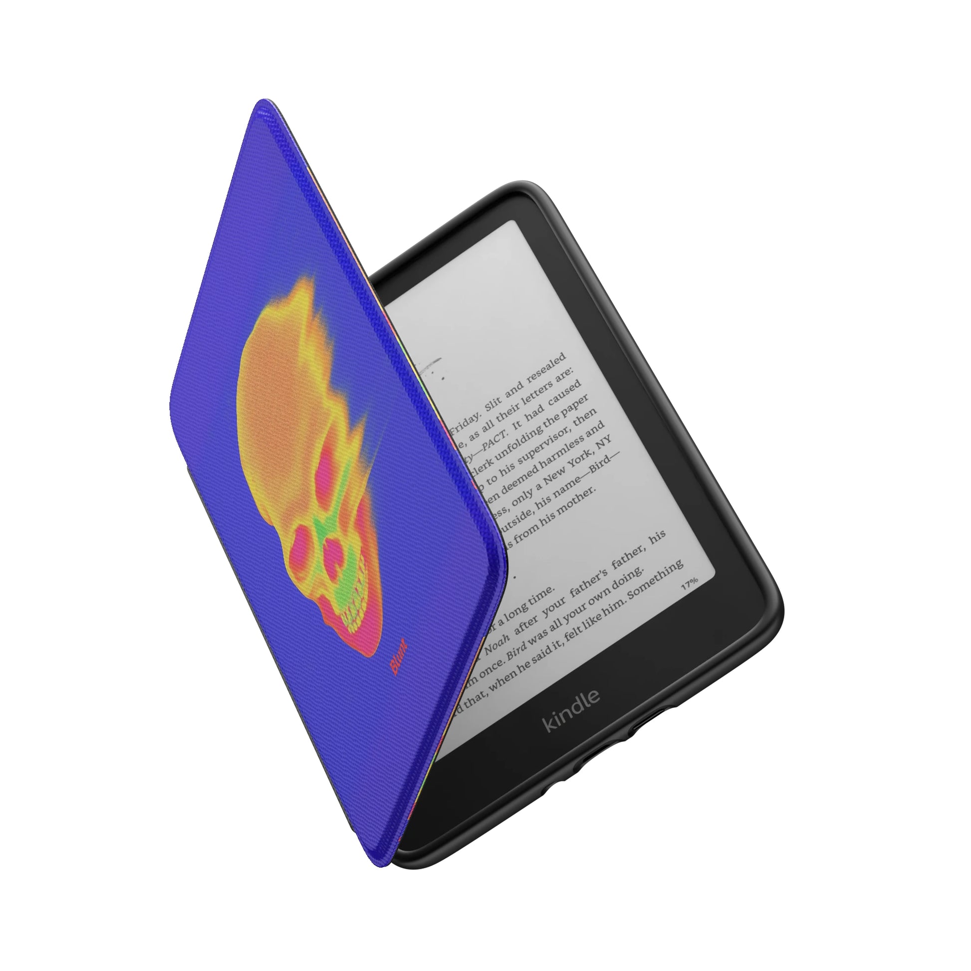 Kindle_Standard_6
