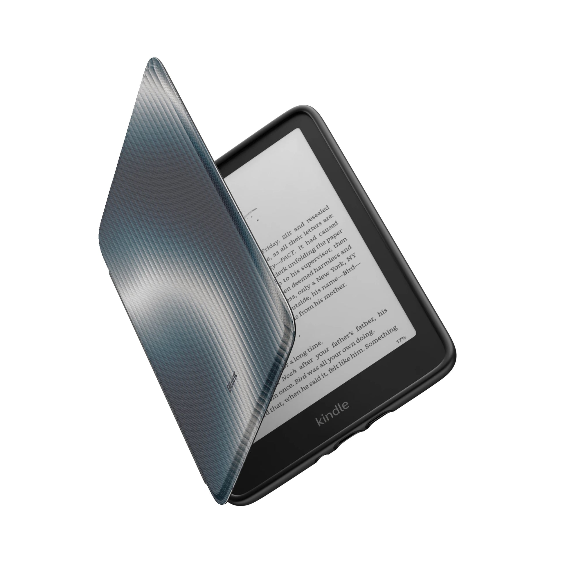 Kindle_Standard_6