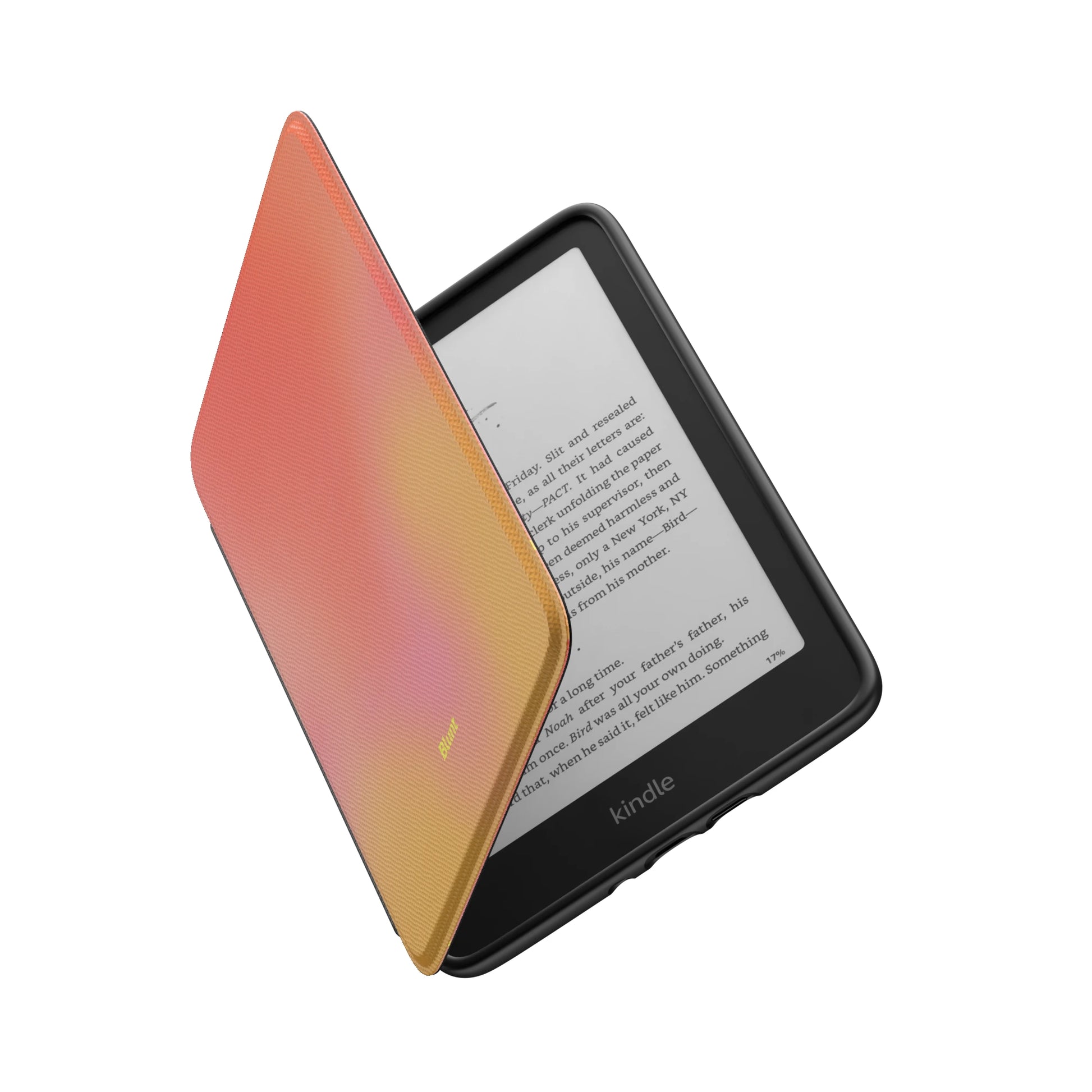 Kindle_Standard_6