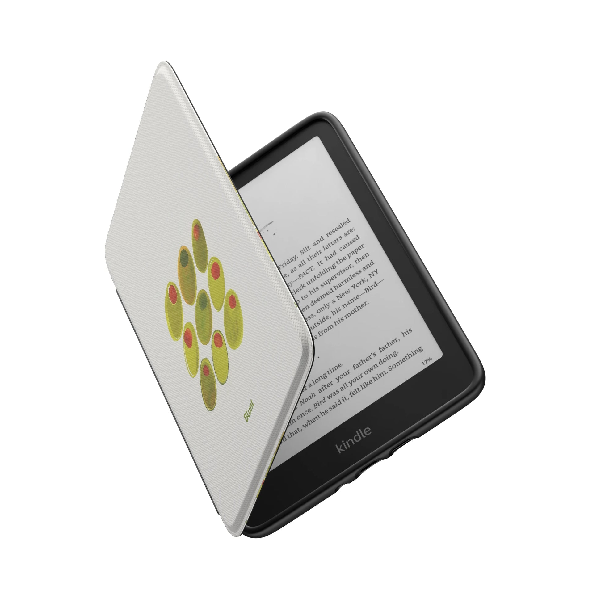 Kindle_Standard_6