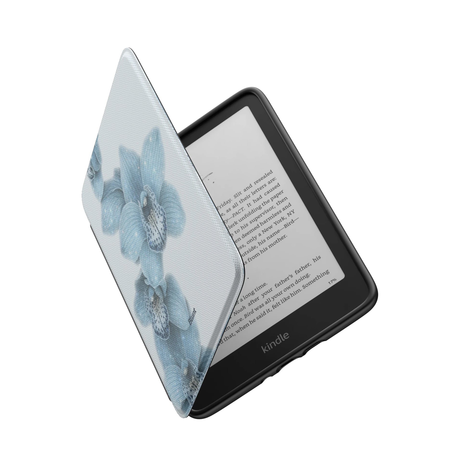 Kindle_Standard_6