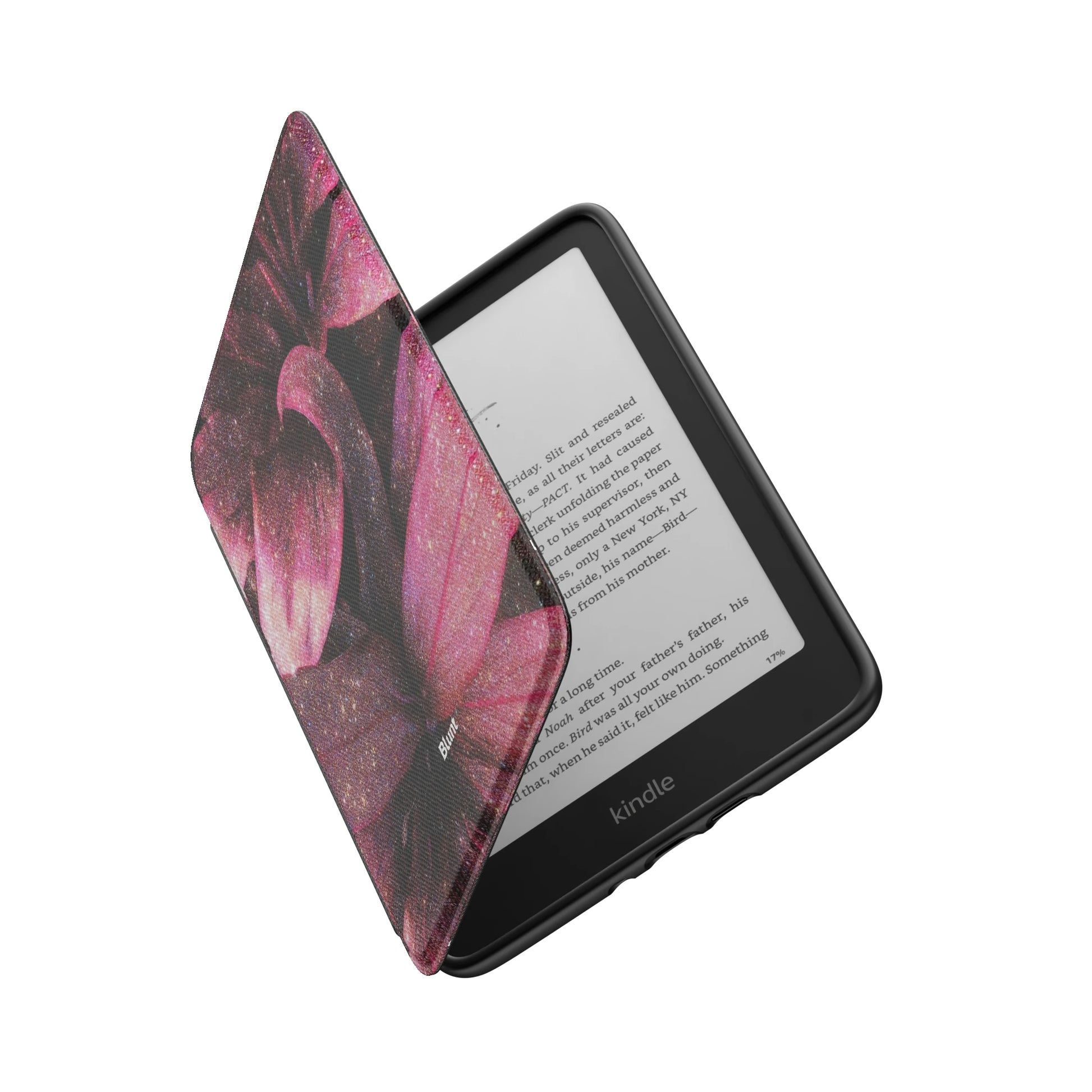 Kindle_Standard_6