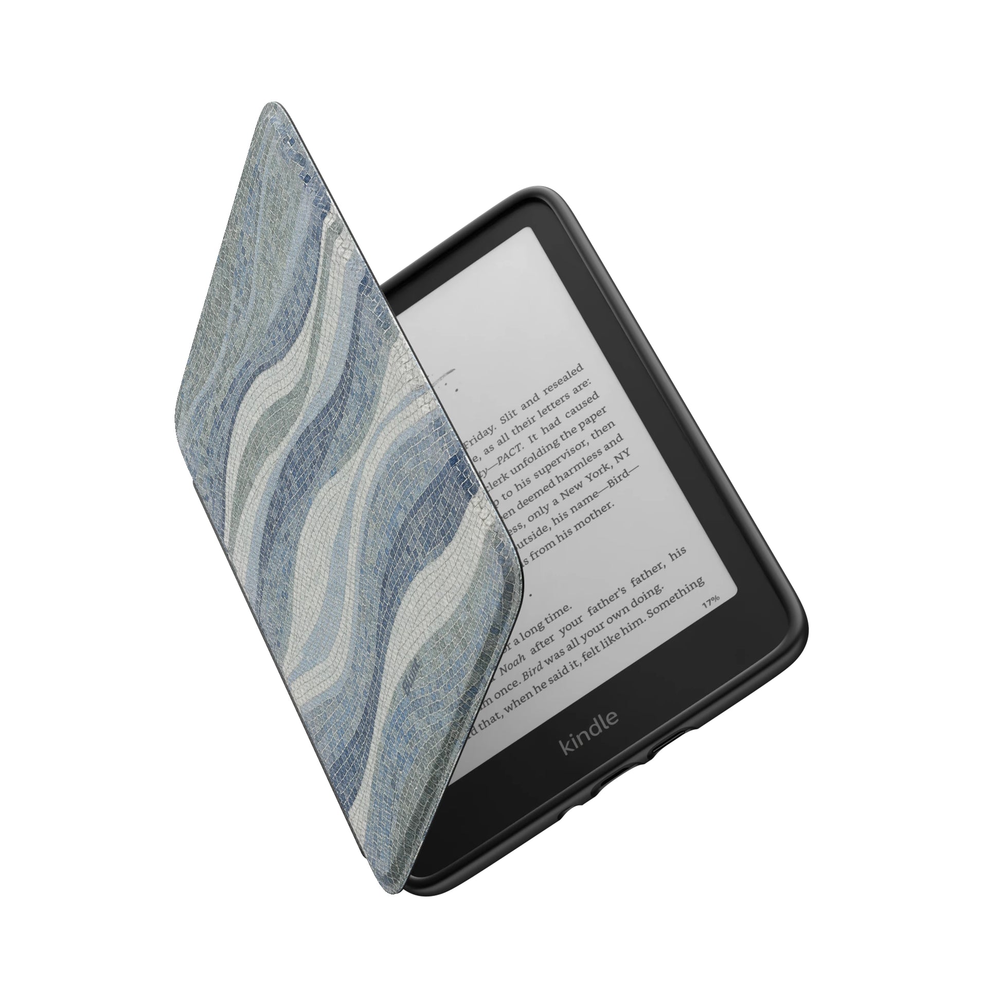 Kindle_Standard_6