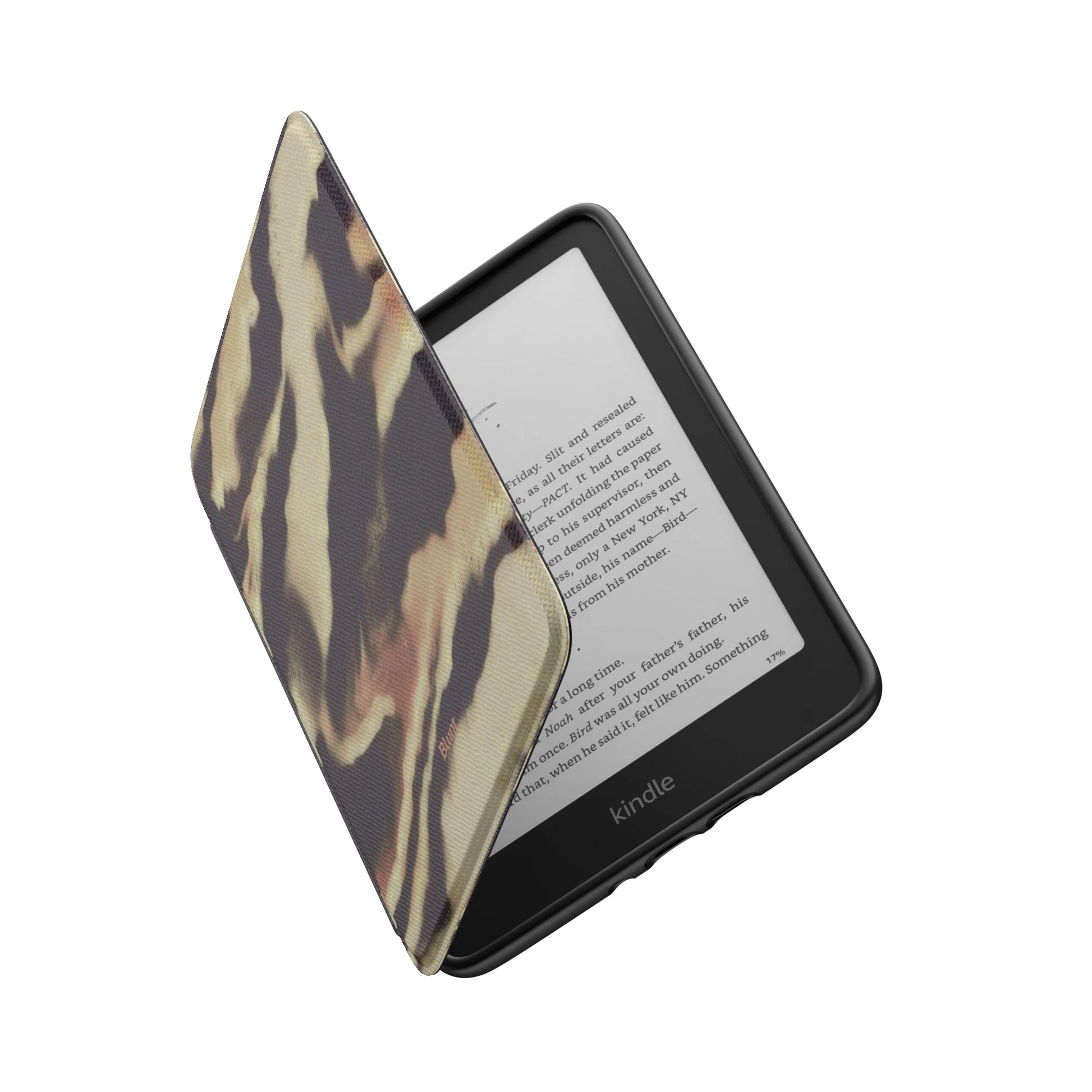 Kindle_Standard_6