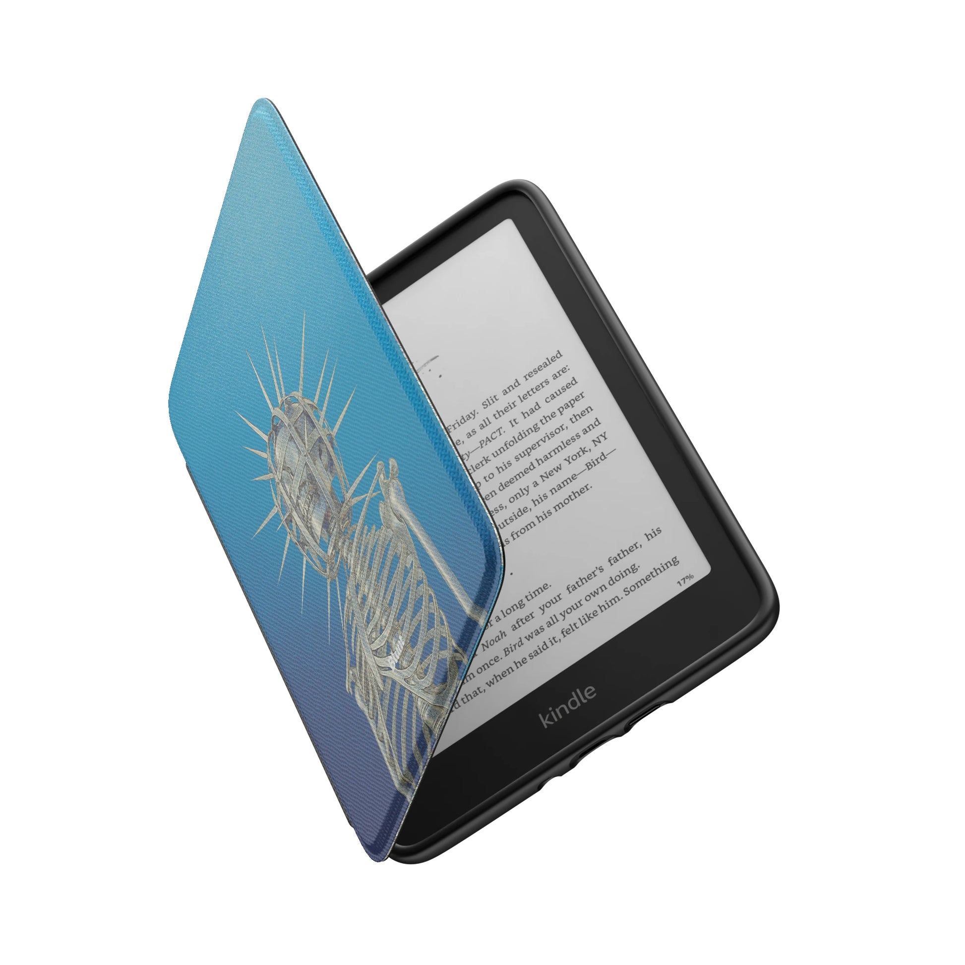 Kindle_Standard_6