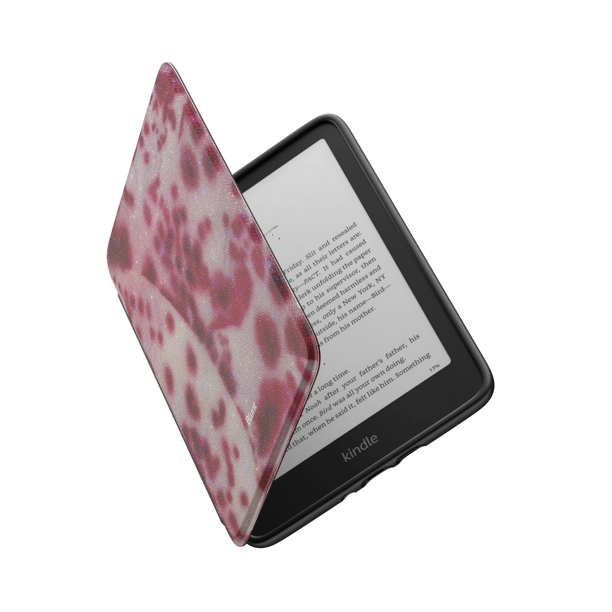 Kindle_Standard_6