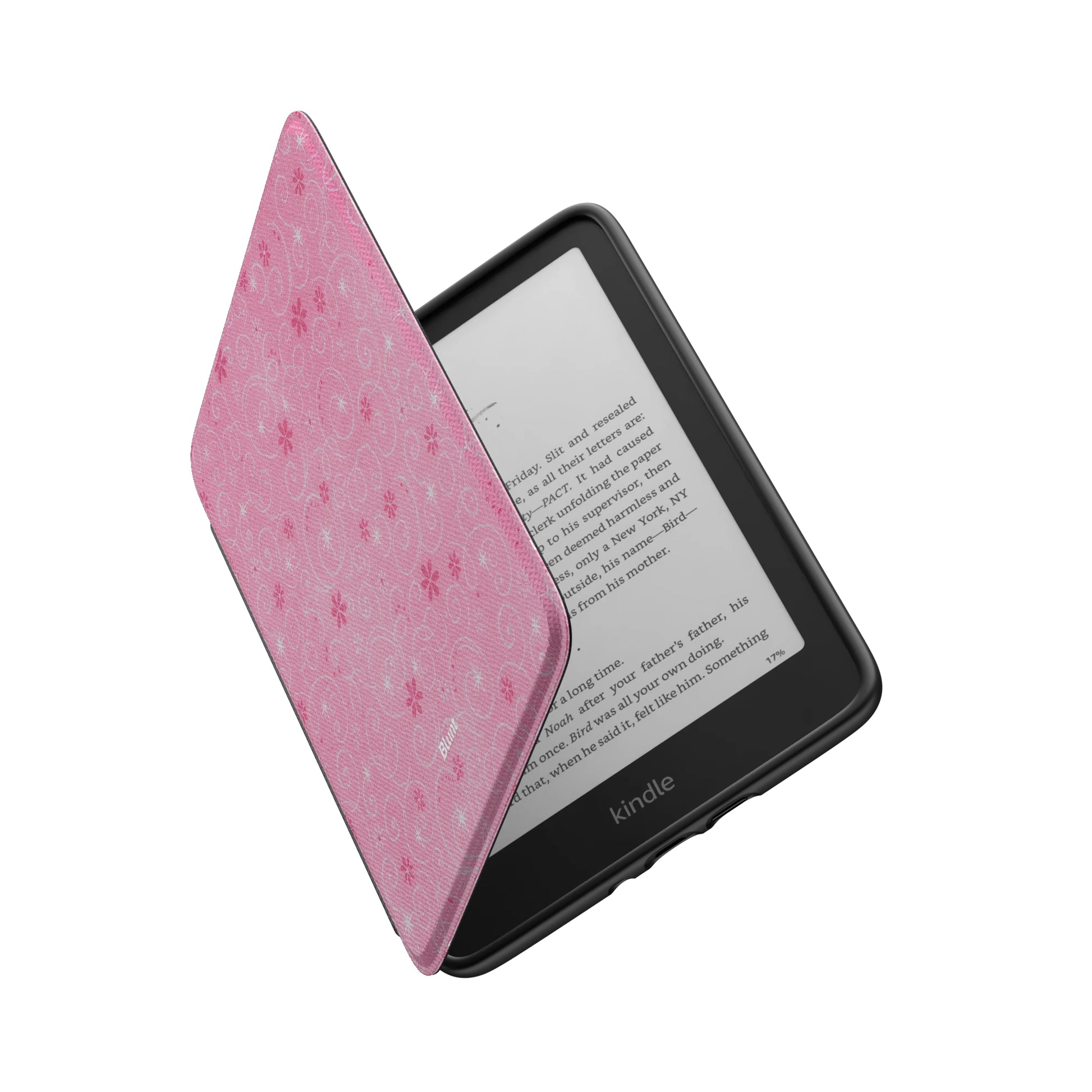 Kindle_Standard_6