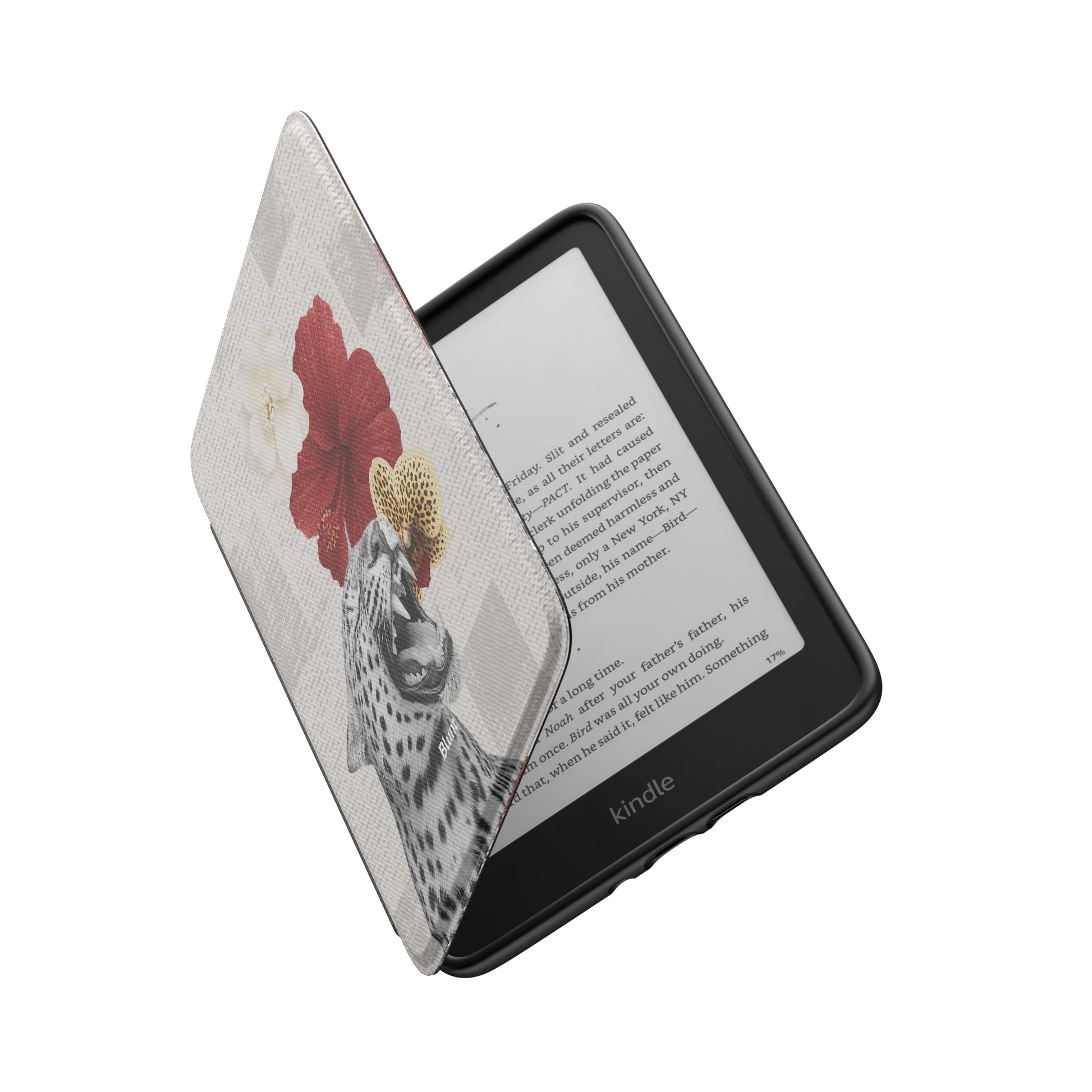 Kindle_Standard_6