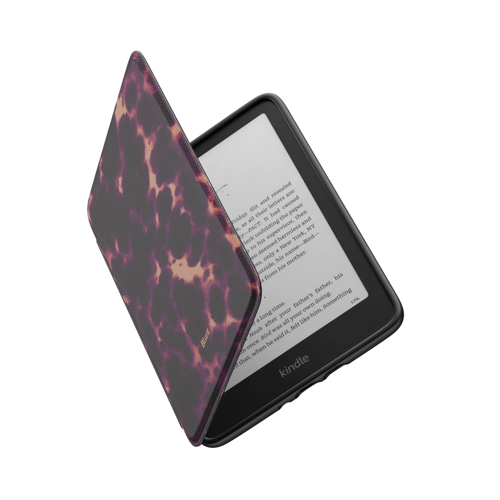 Kindle_Standard_6